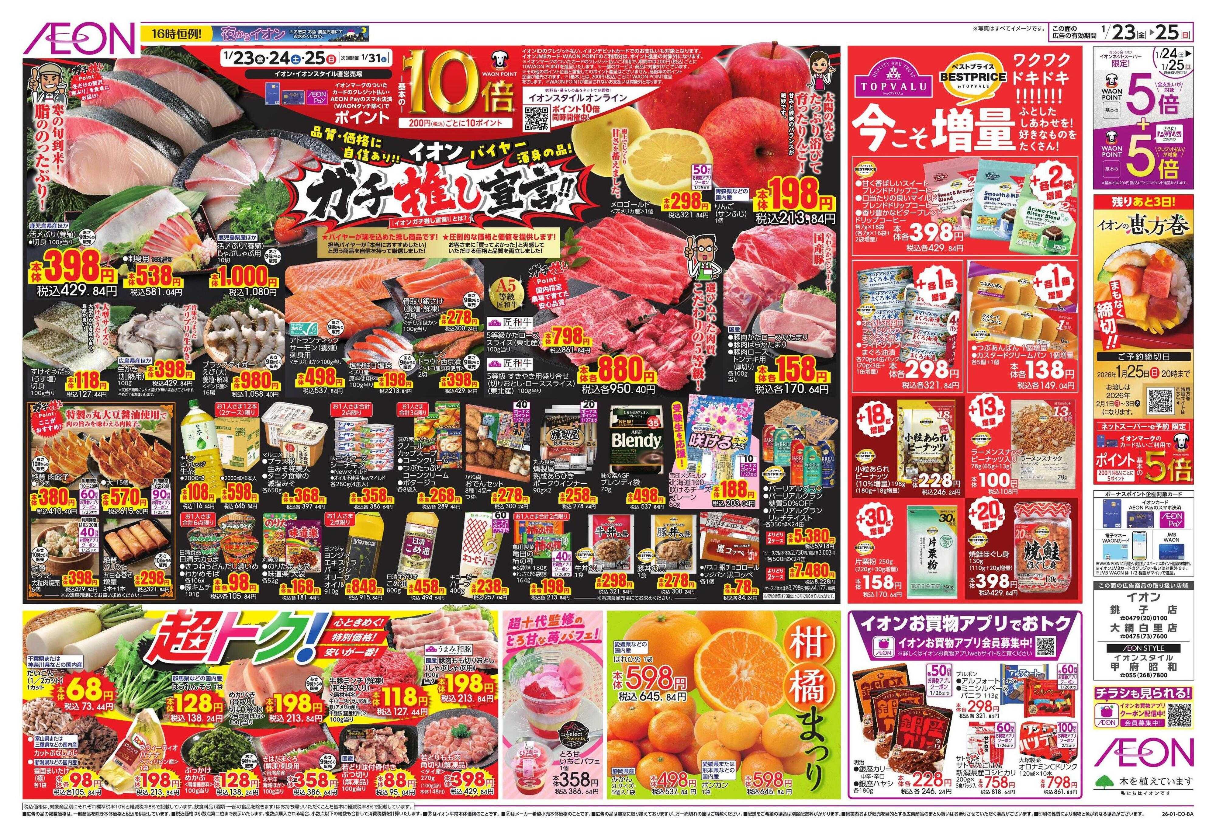 イオン イオンガチ推し宣言