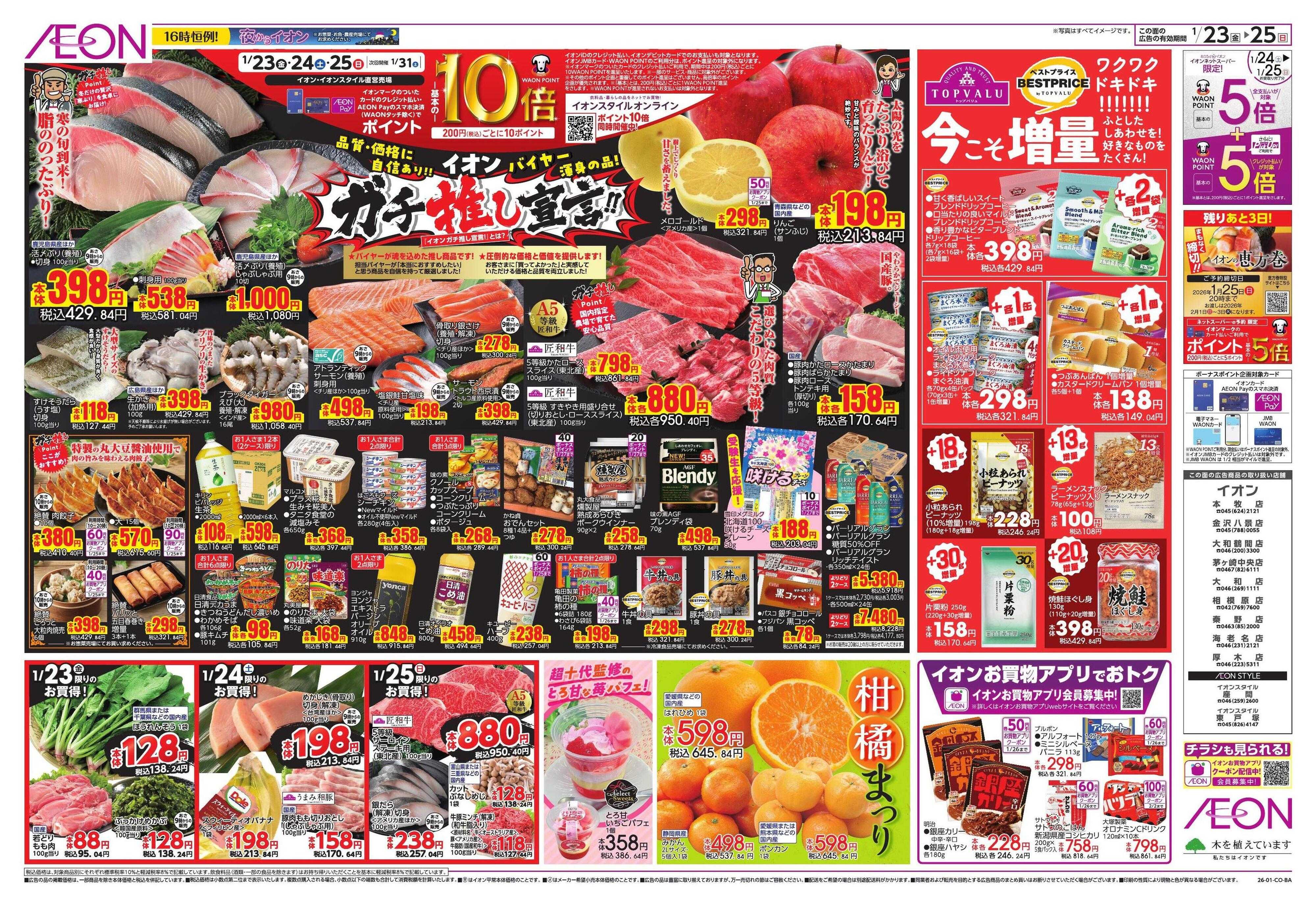 イオン イオンガチ推し宣言