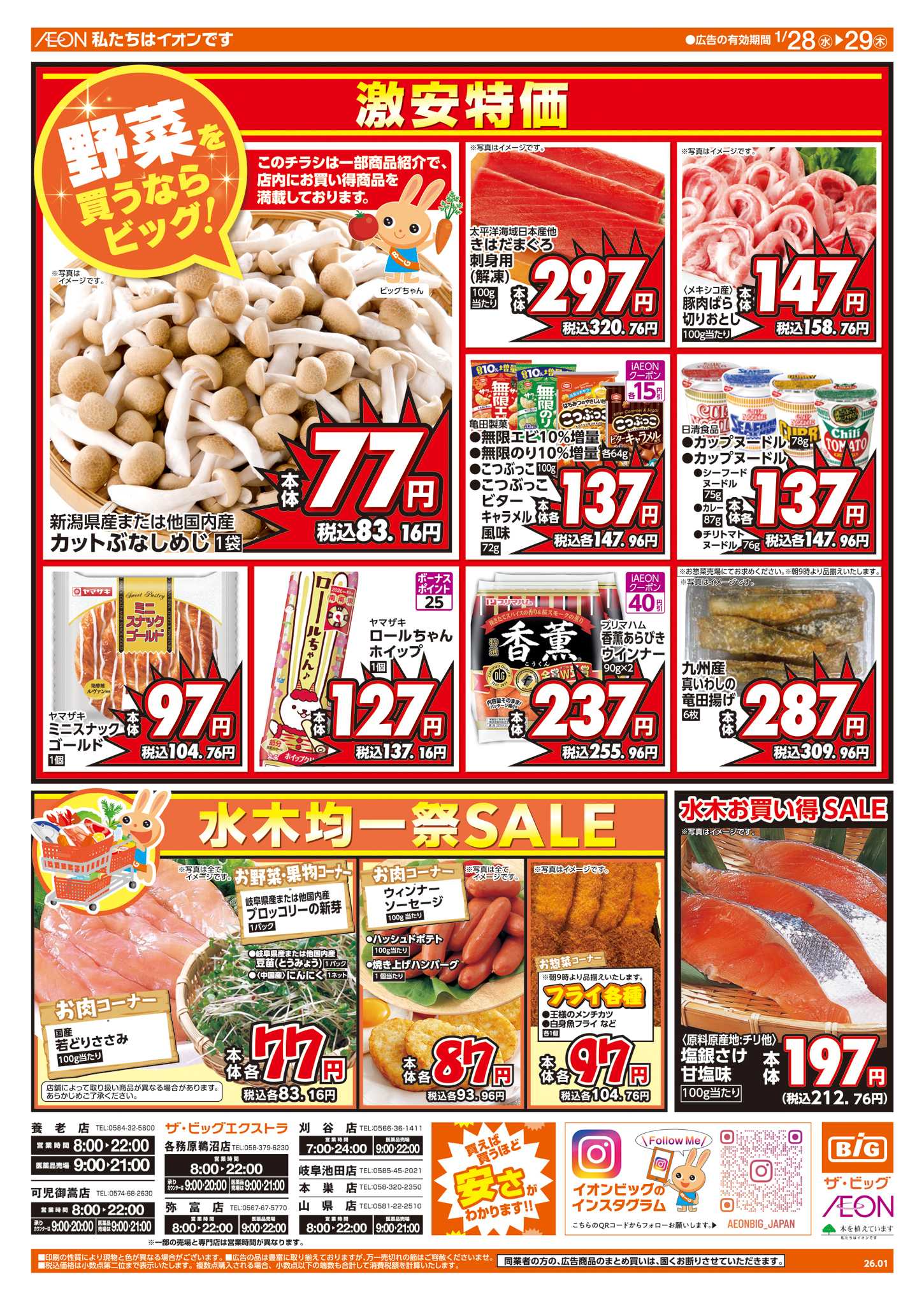 ザ・ビッグ 週中チラシ