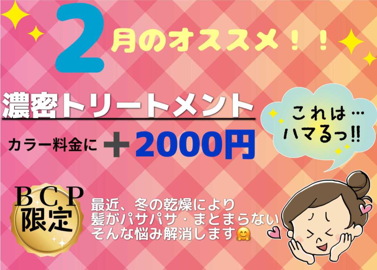 ビューティーカラープラス 