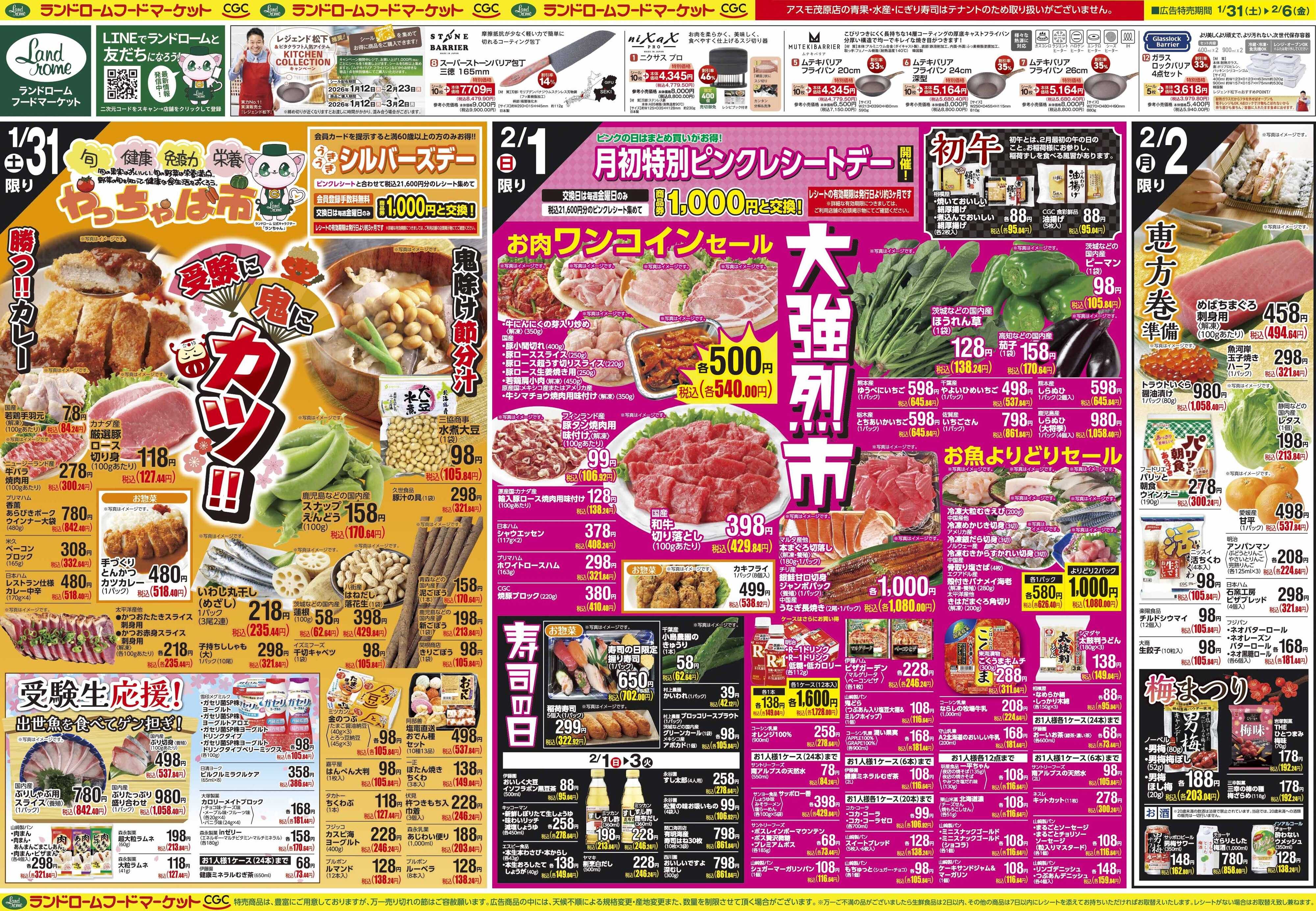 ランドローム 1/31号