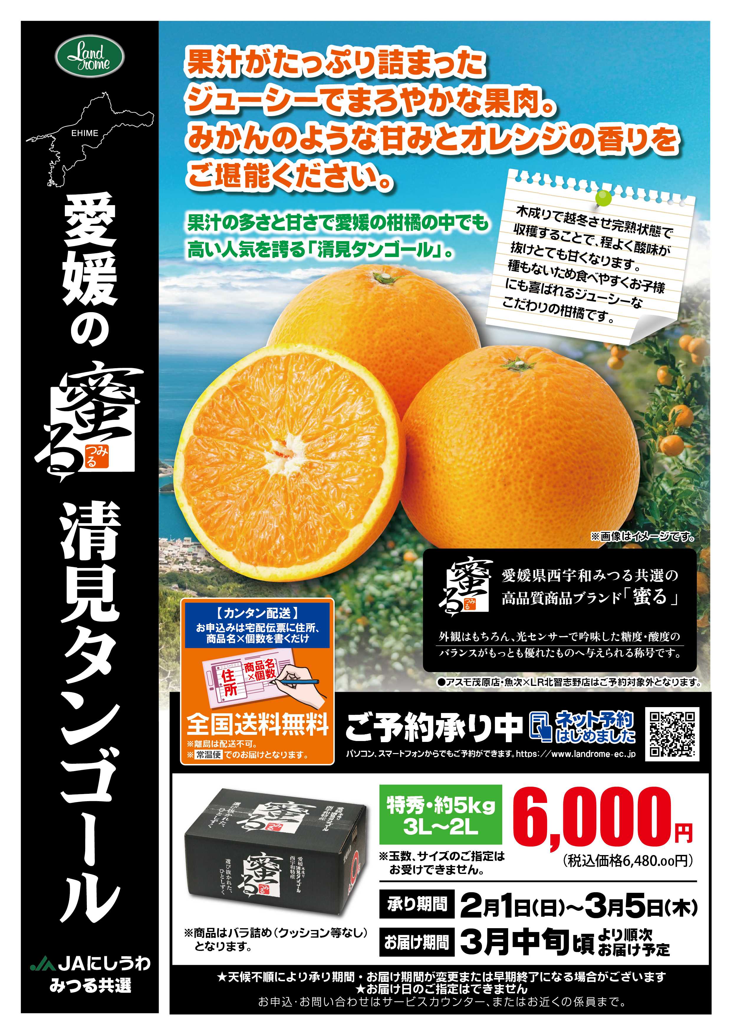 ランドローム 清見タンゴール