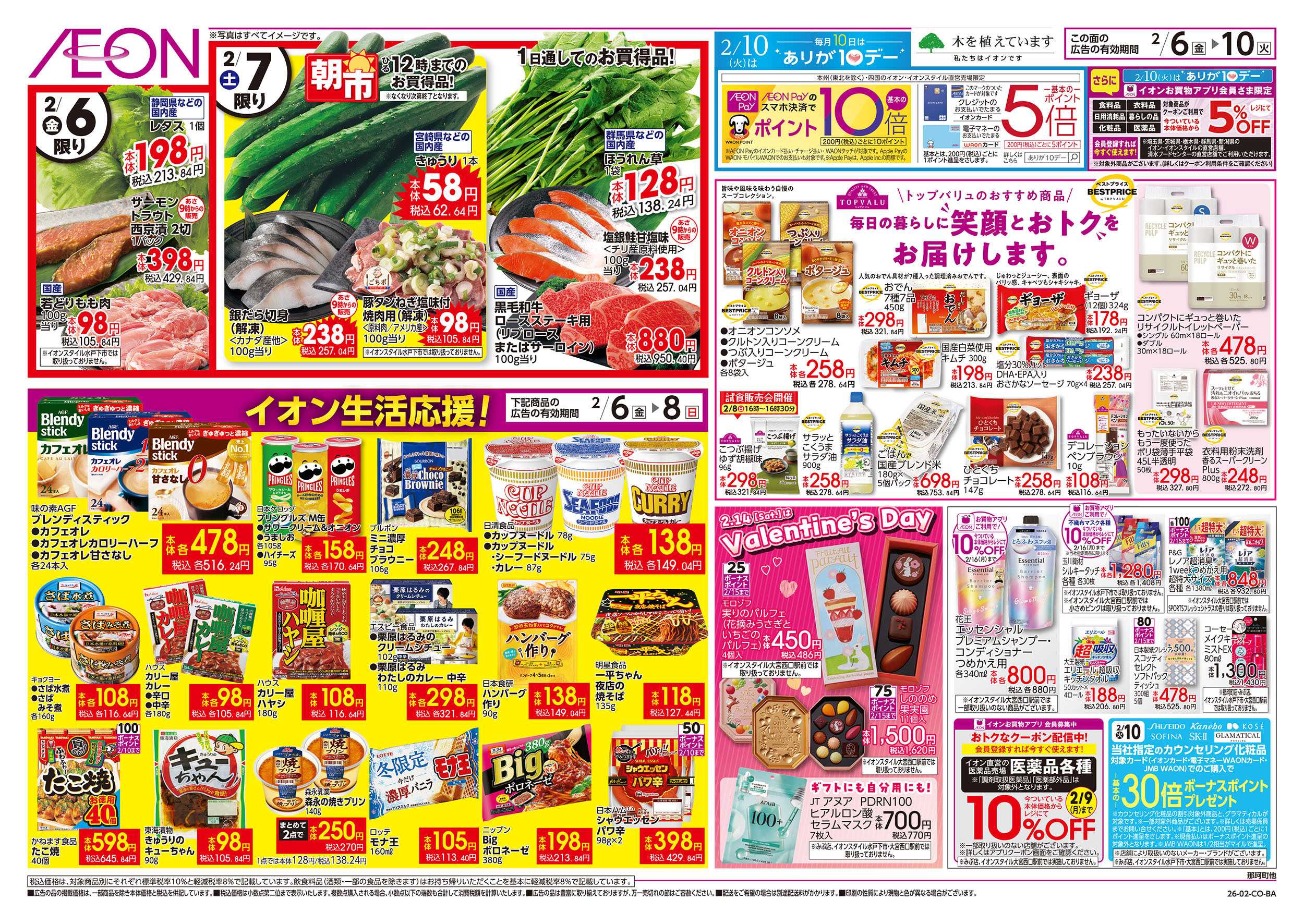 イオンスタイル 2/6号　生鮮大市：裏面