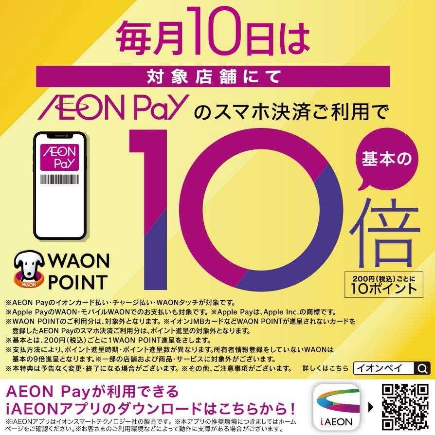 ザ・ビッグ イオンペイでポイント10倍