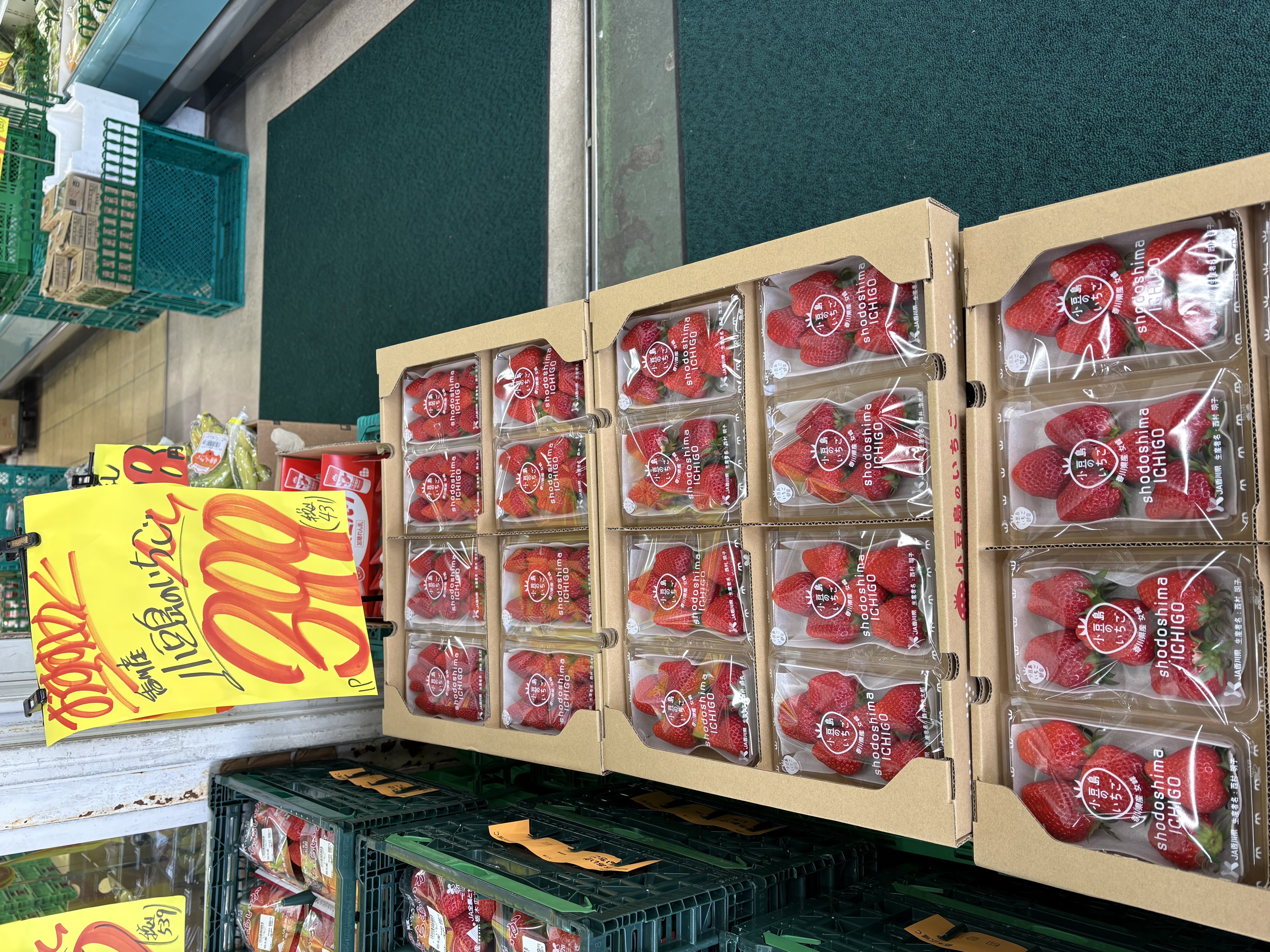 たこ一の店舗一覧 | クラシルチラシ