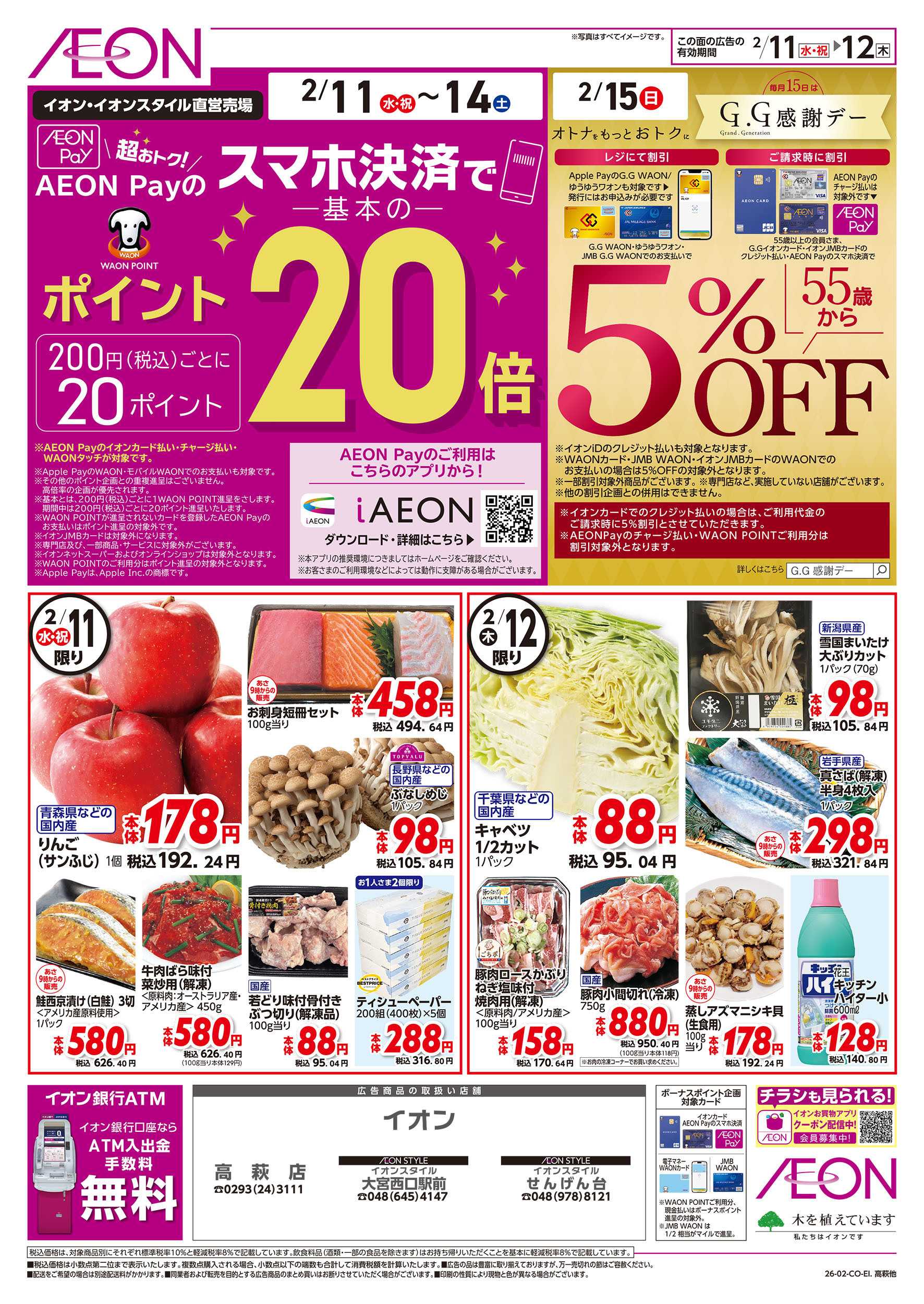 イオンスタイル 2/11号　スマホ決済でポイント20倍：表面