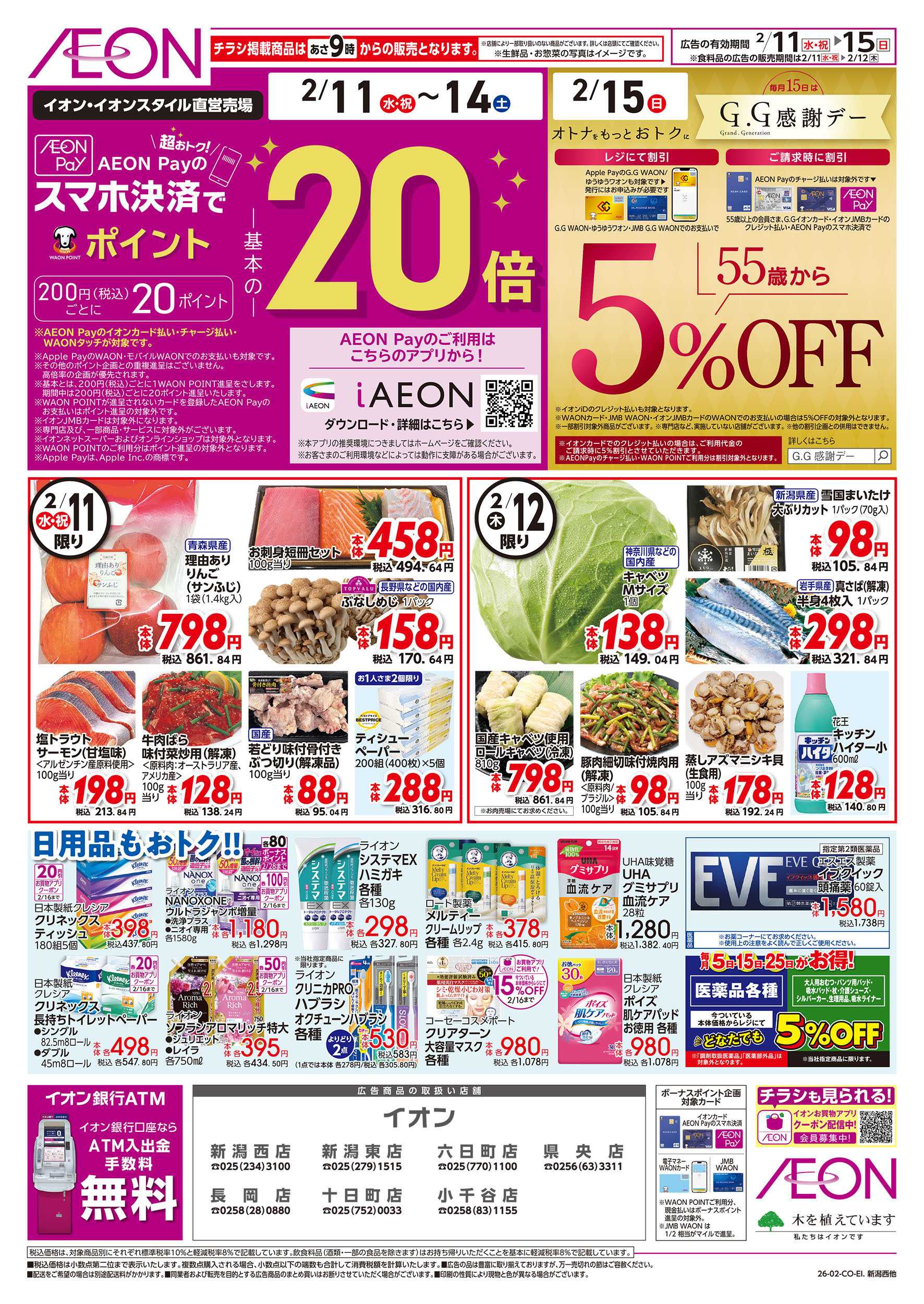 イオン 2/11号　スマホ決済でポイント20倍：表面