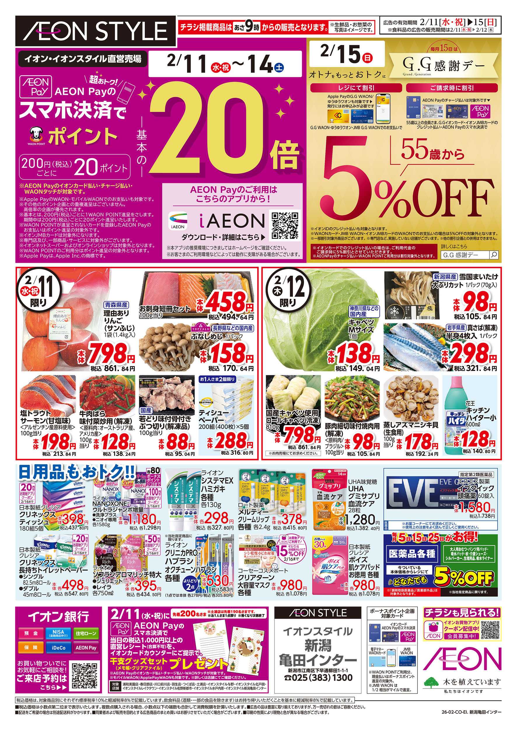 イオンスタイル 2/11号　スマホ決済でポイント20倍：表面