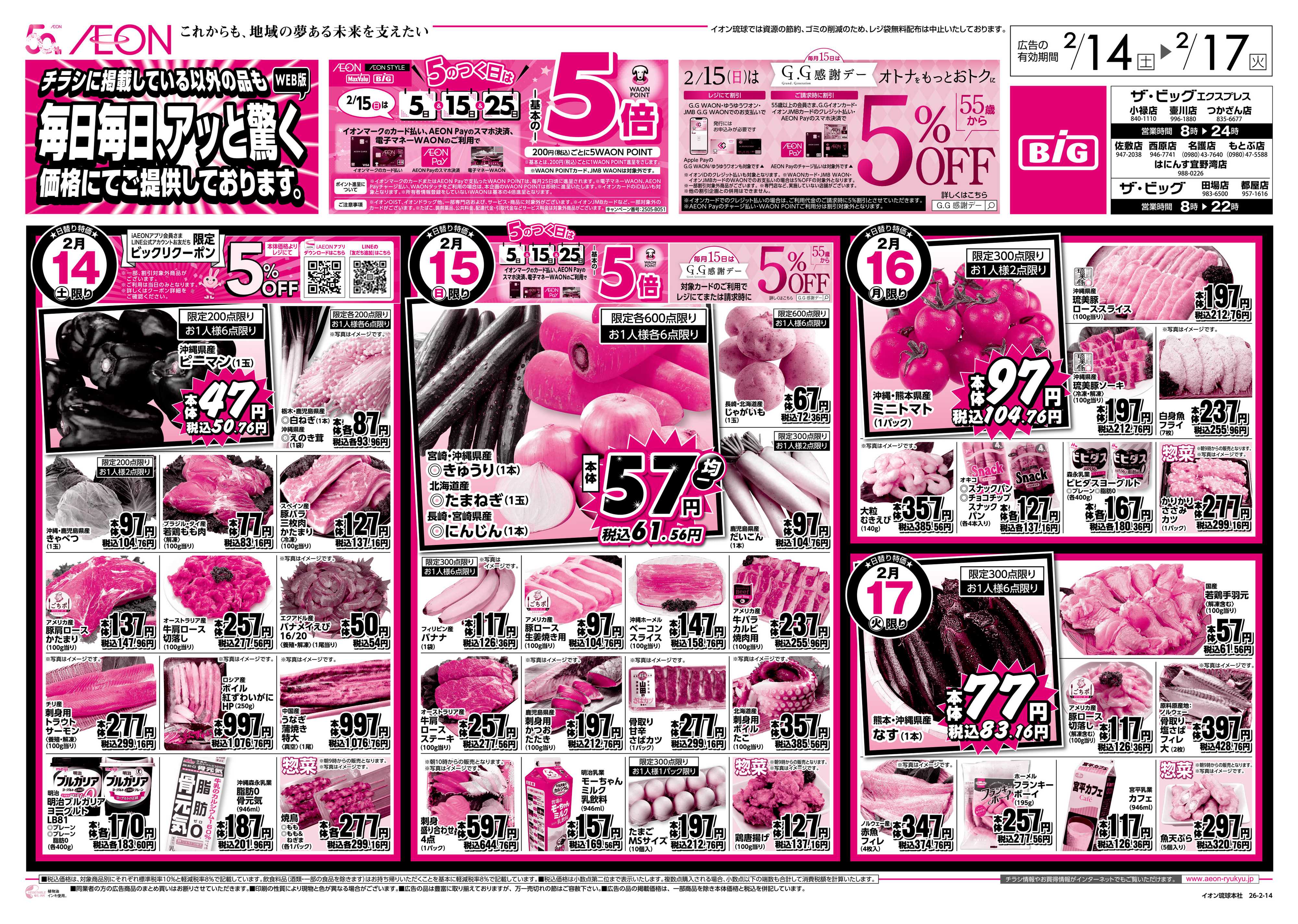 ザ・ビッグ 毎日毎日、アッと驚く