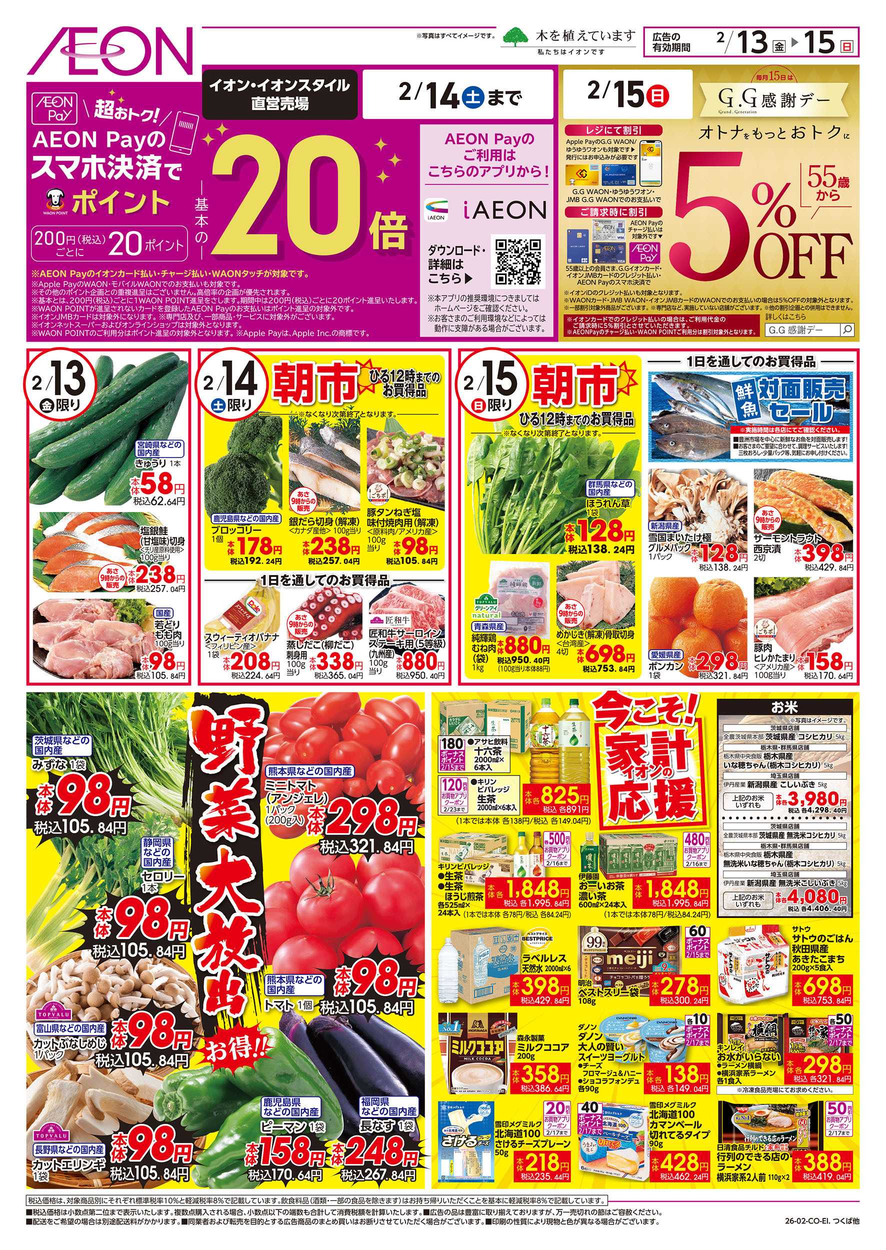 イオンスタイル 2/13号　野菜大放出！：表面