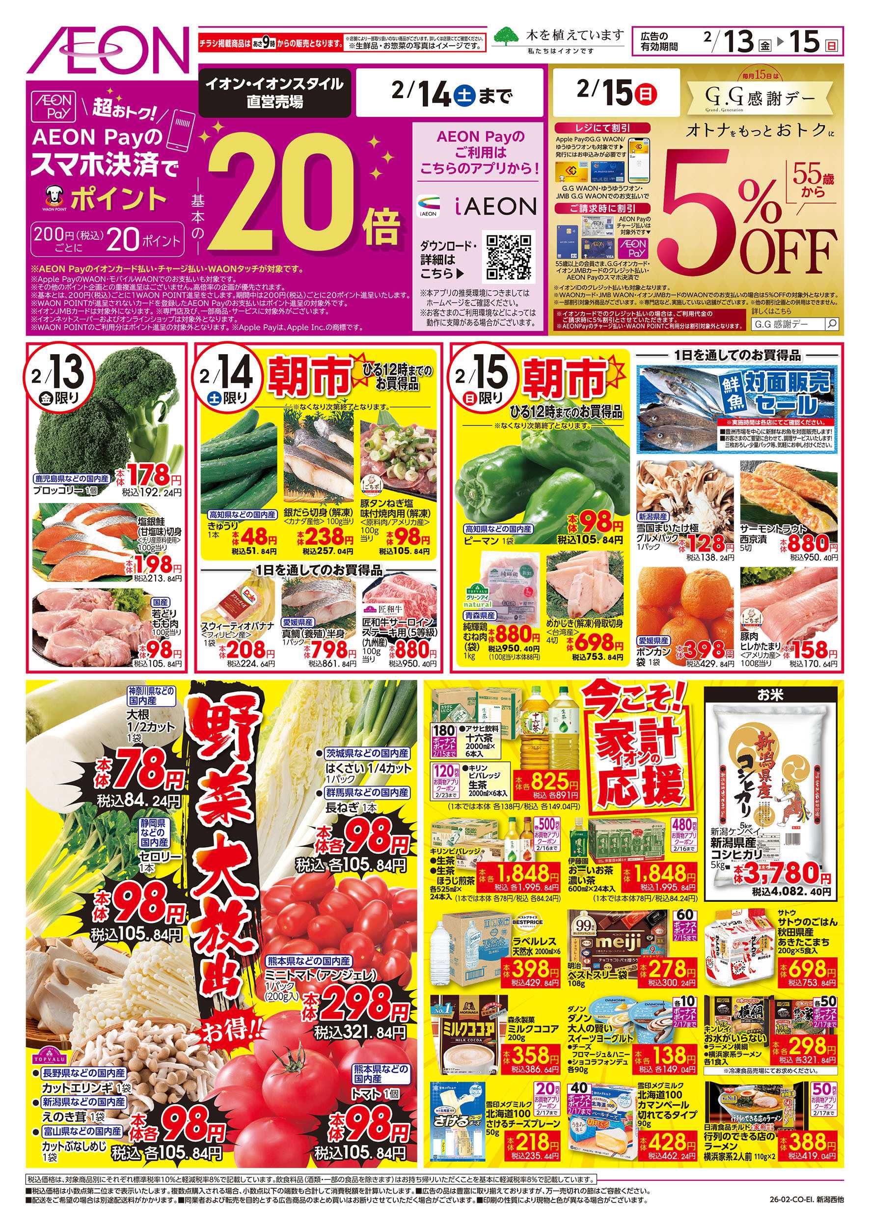 イオン 2/13号　野菜大放出！：表面