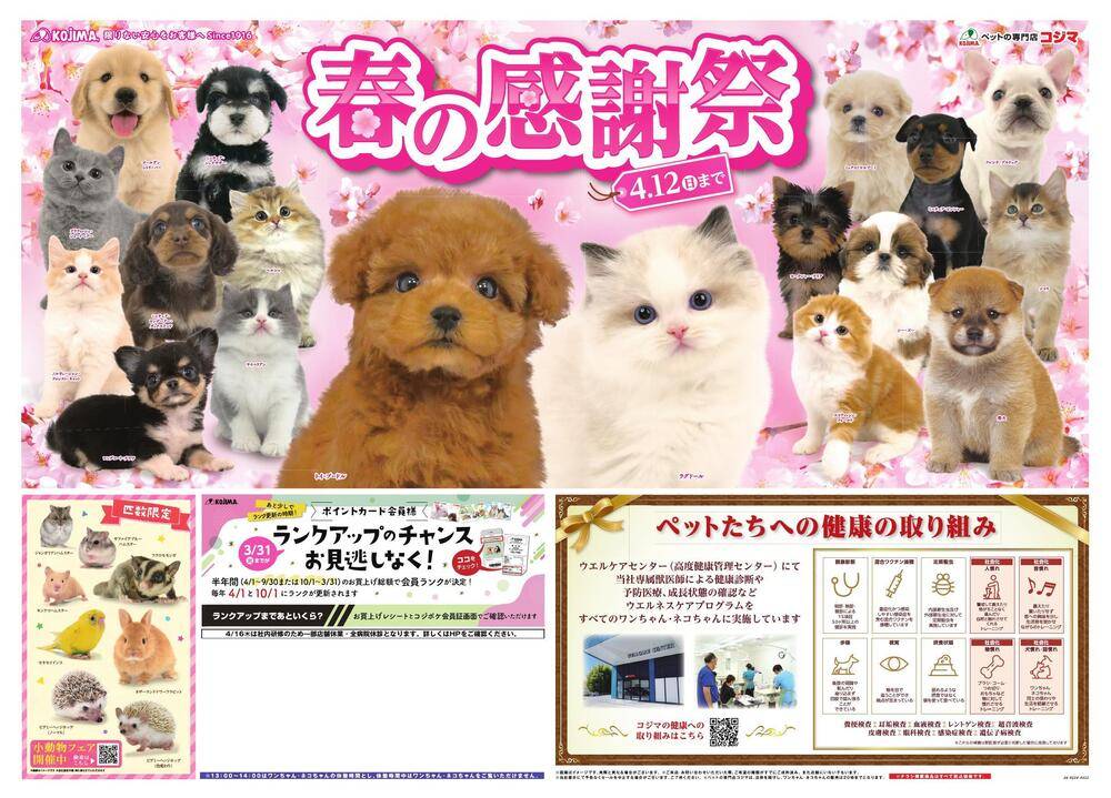 ペットの専門店コジマ 八王子店の最新チラシ・セール情報 | クラシルチラシ