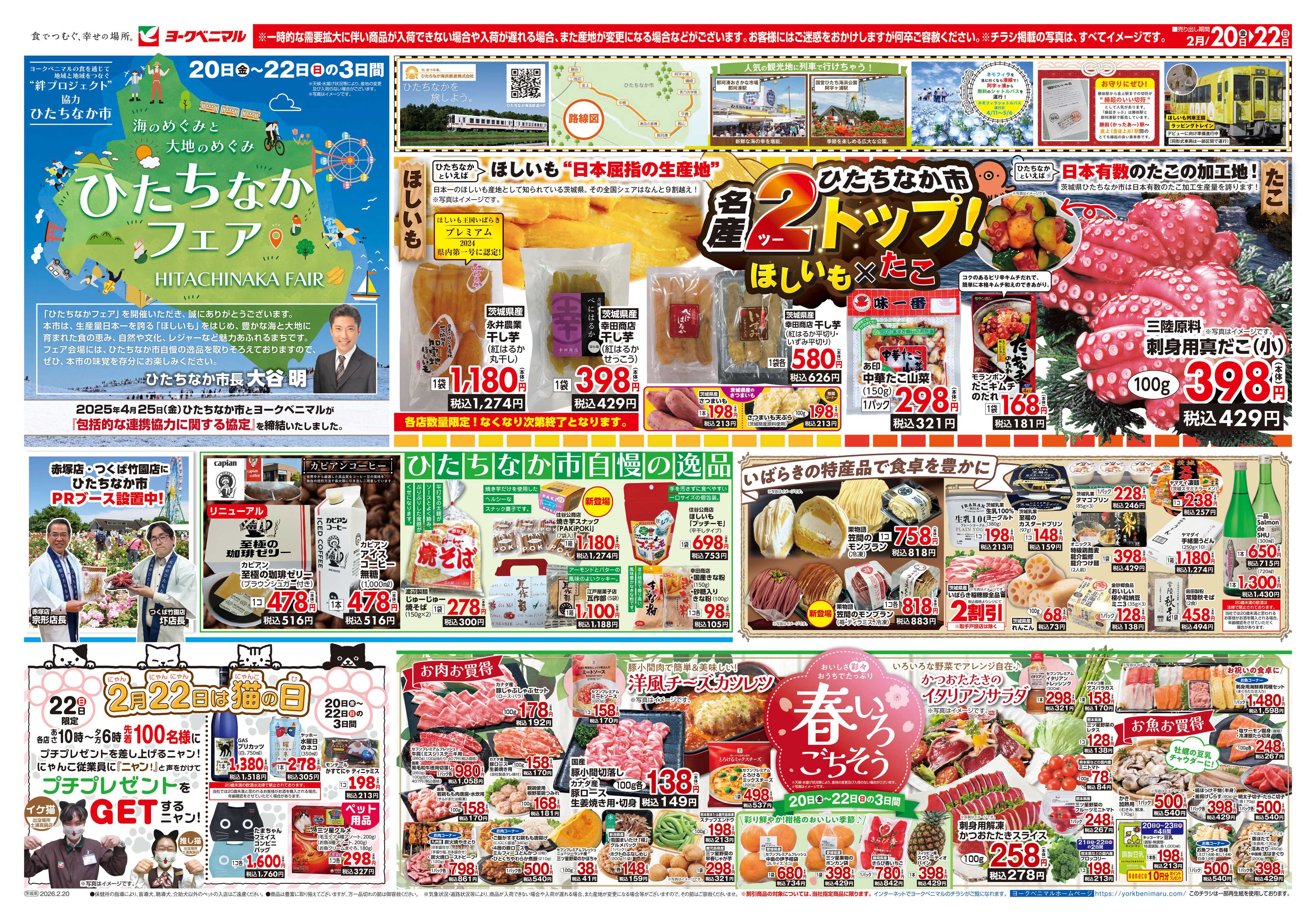 ヨークベニマル 2/20号チラシ