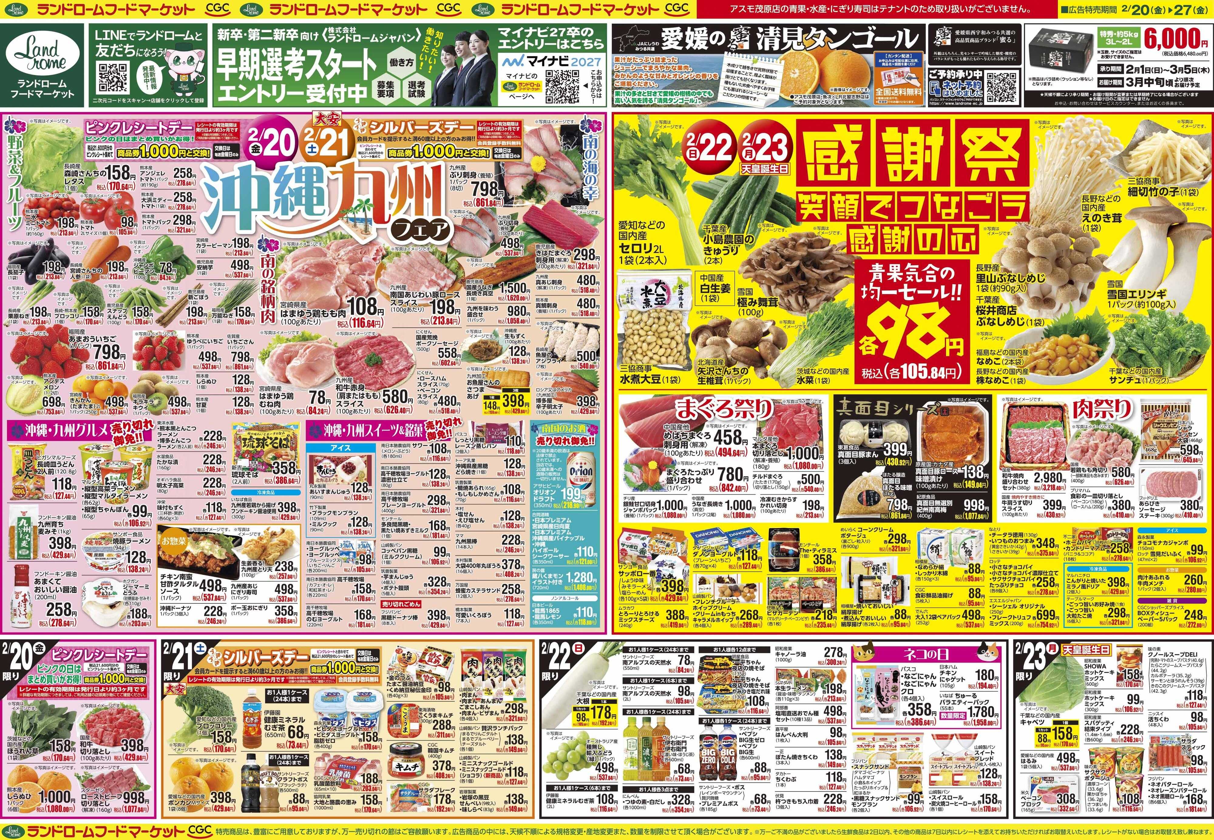 ランドローム 2/20号