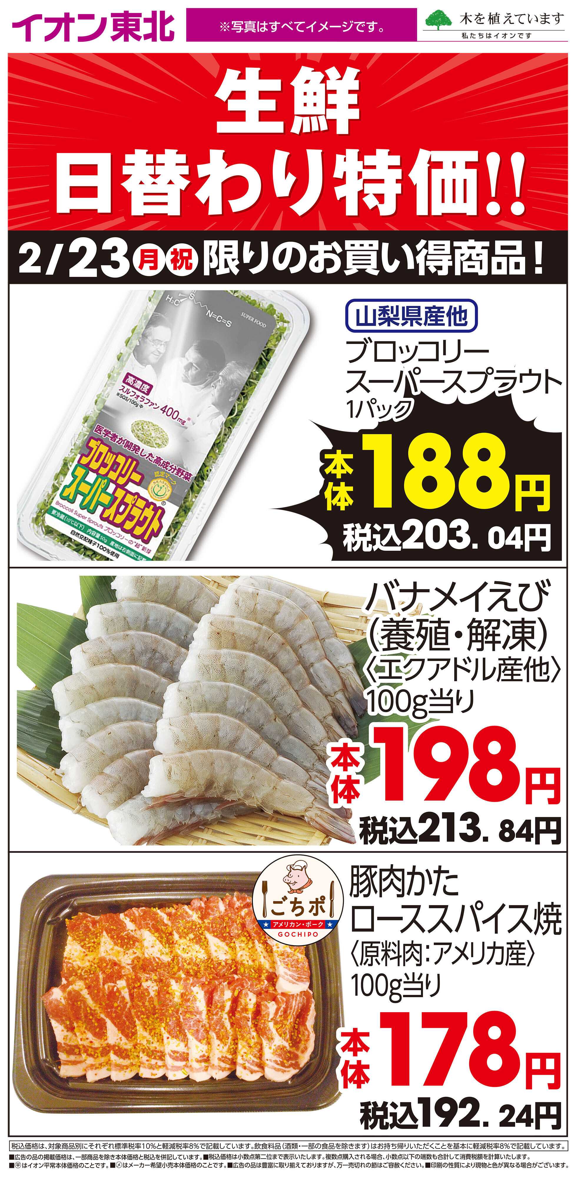 イオン 2月23日日替わり