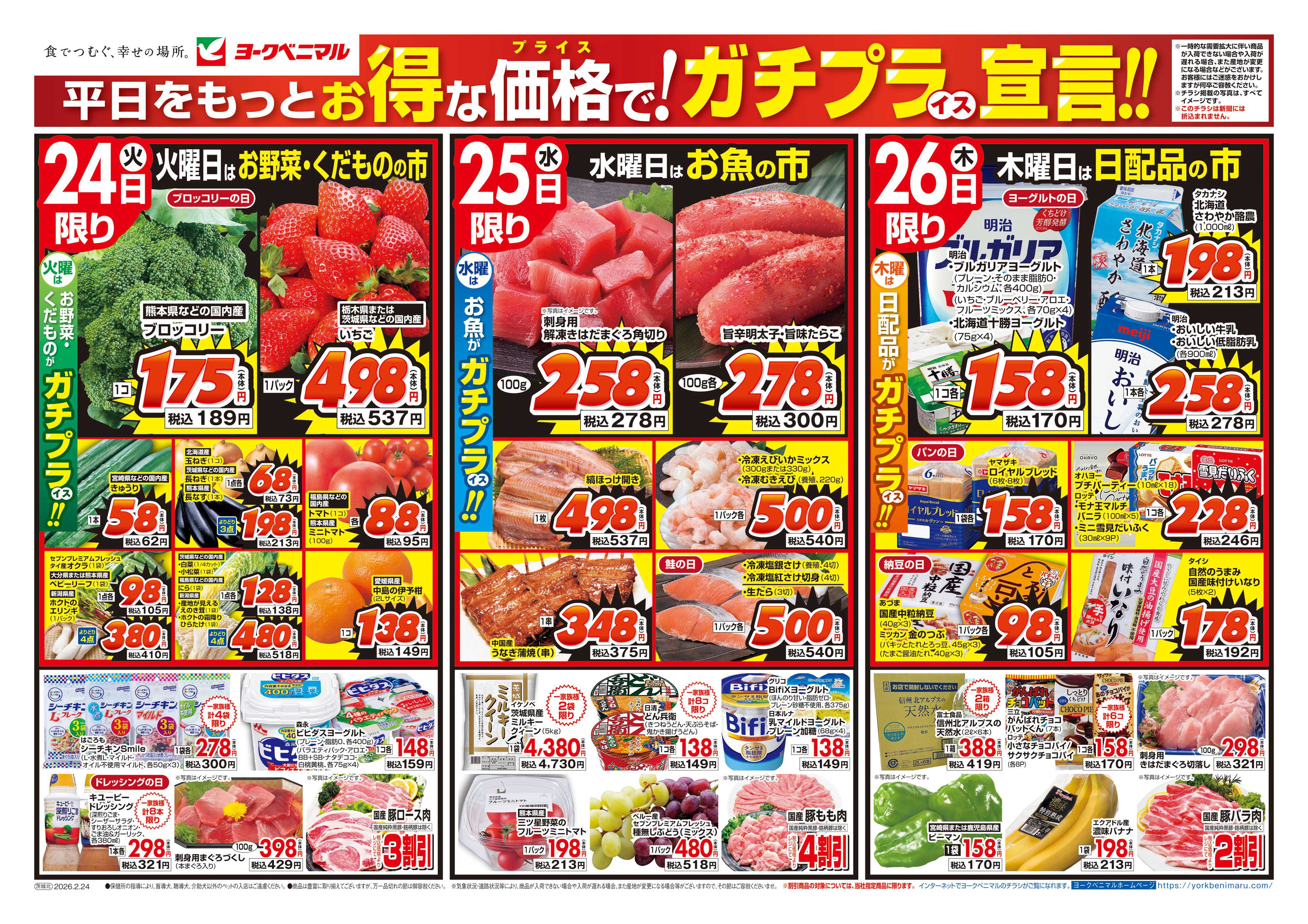 ヨークベニマル 2/24号チラシ