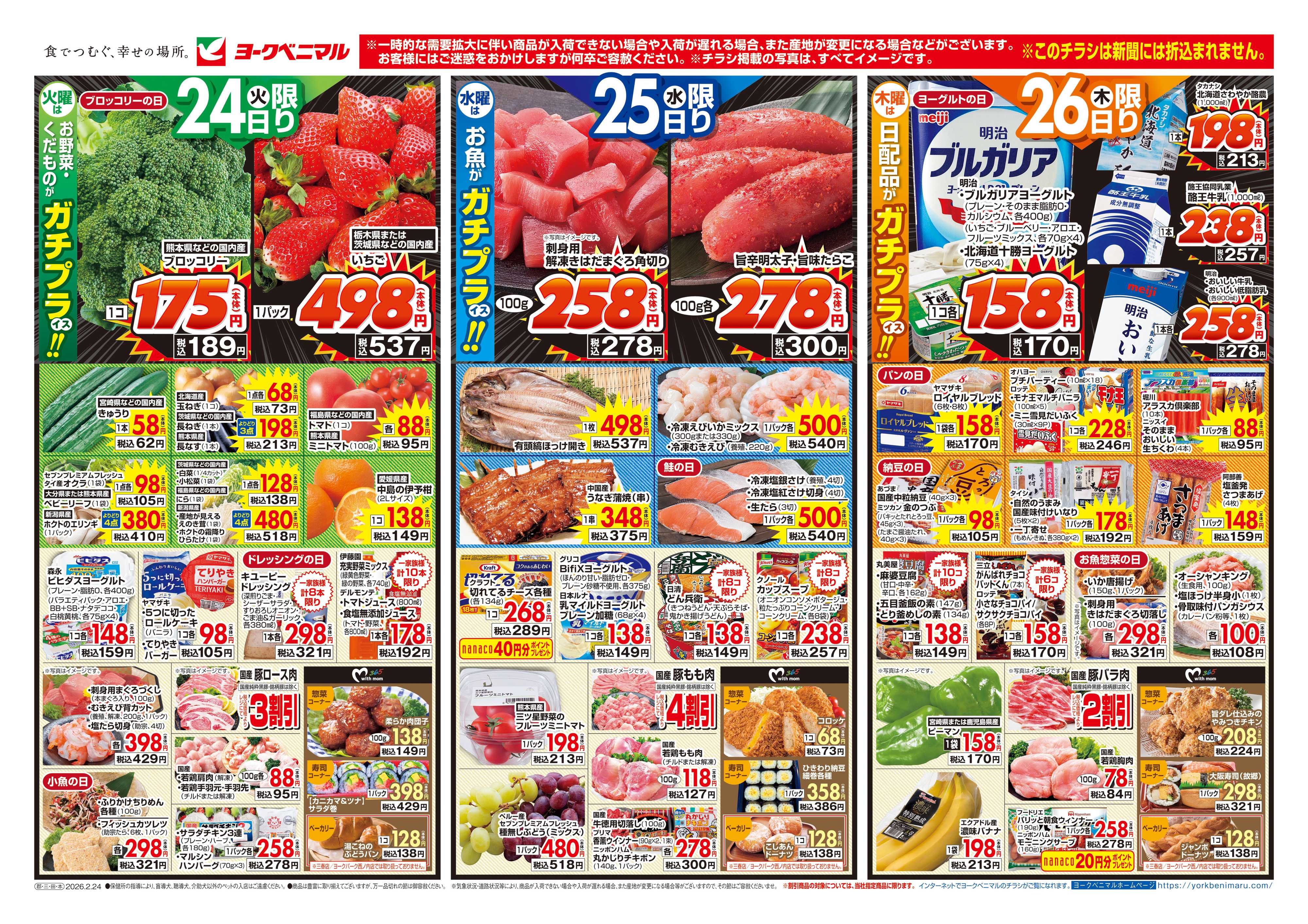 ヨークベニマル 2/24号チラシ