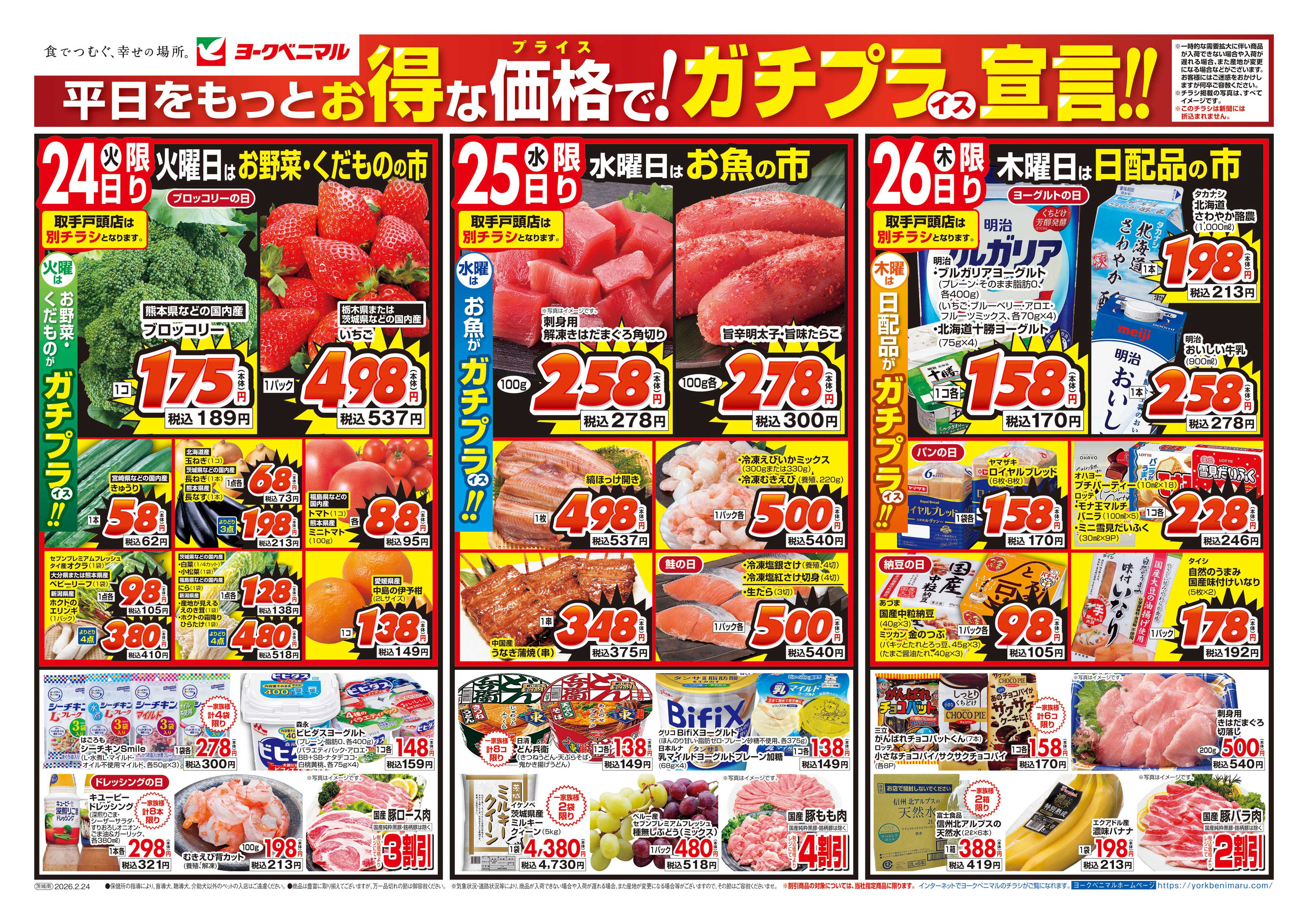 ヨークベニマル 2/24号チラシ