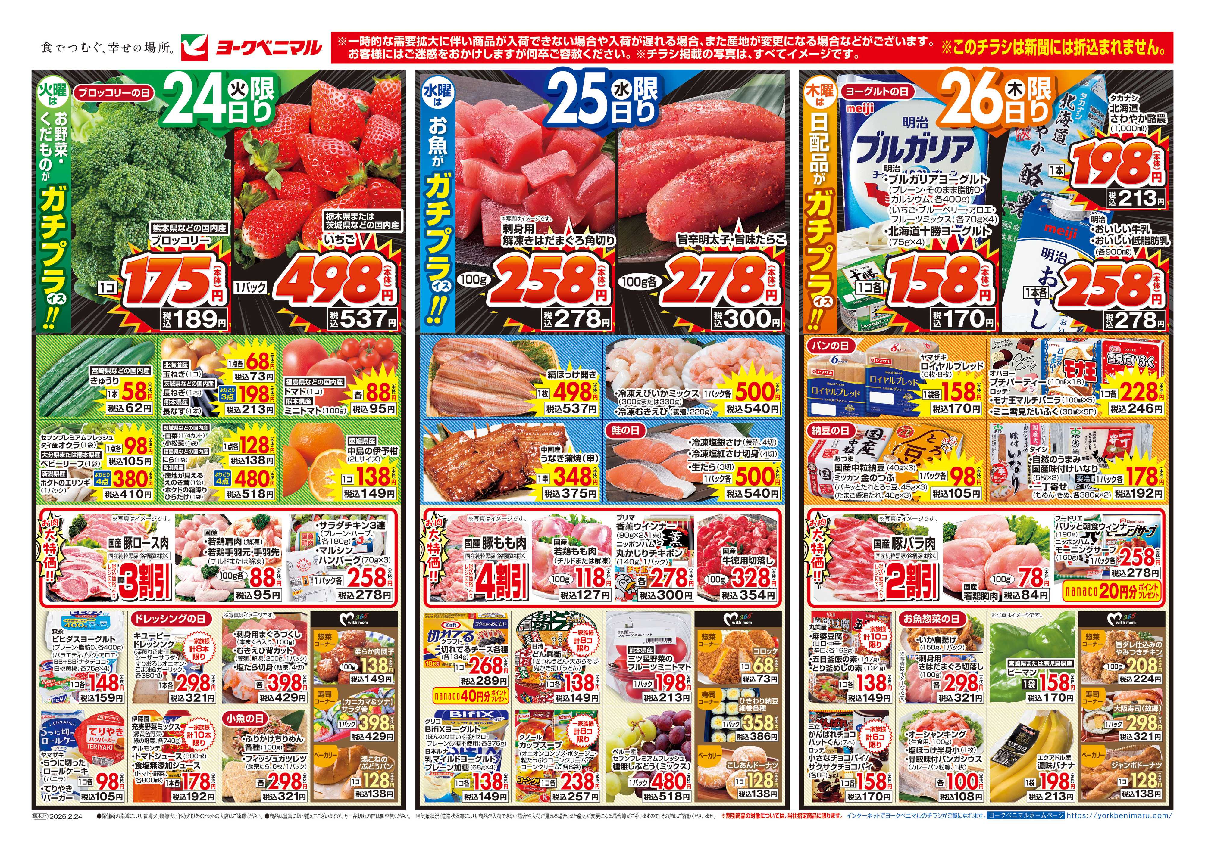 ヨークベニマル 2/24号チラシ