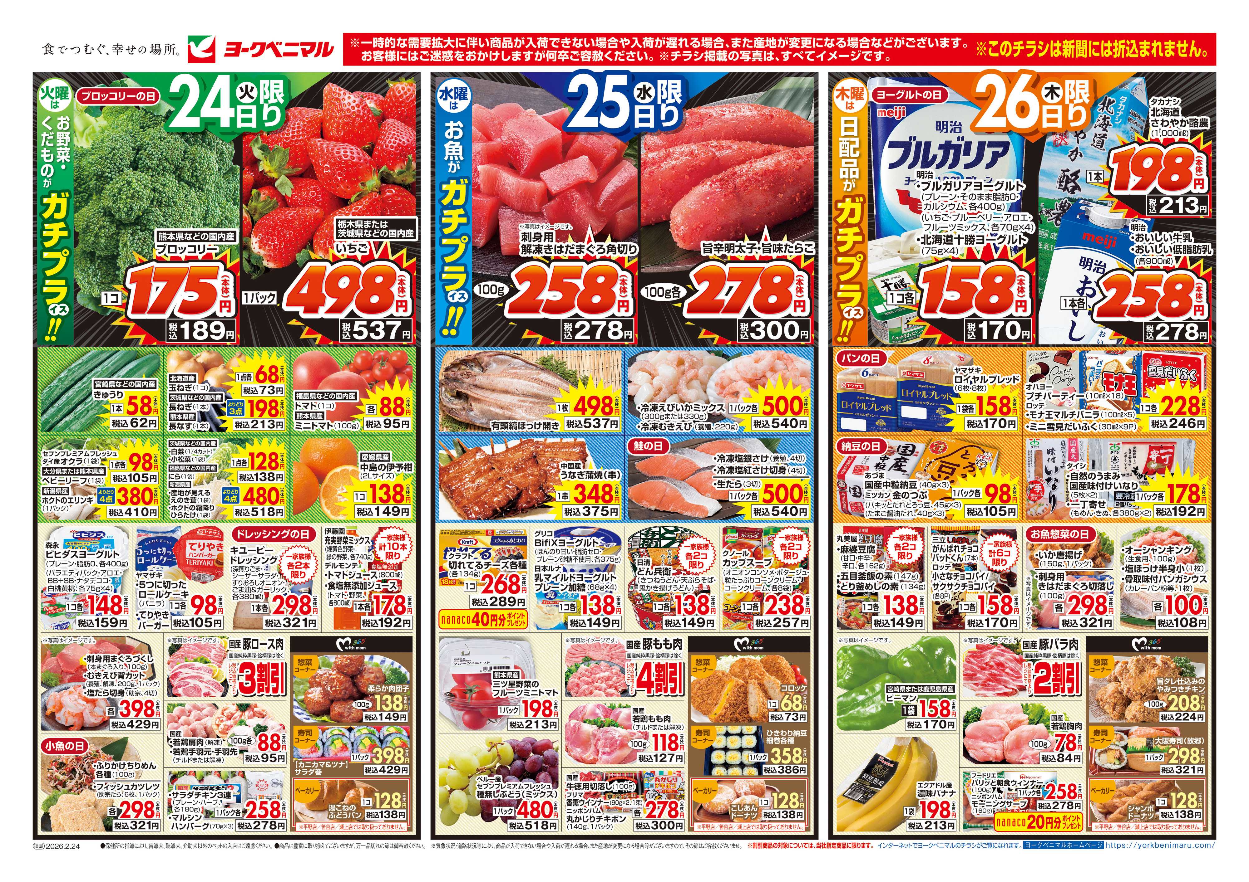 ヨークベニマル 2/24号チラシ