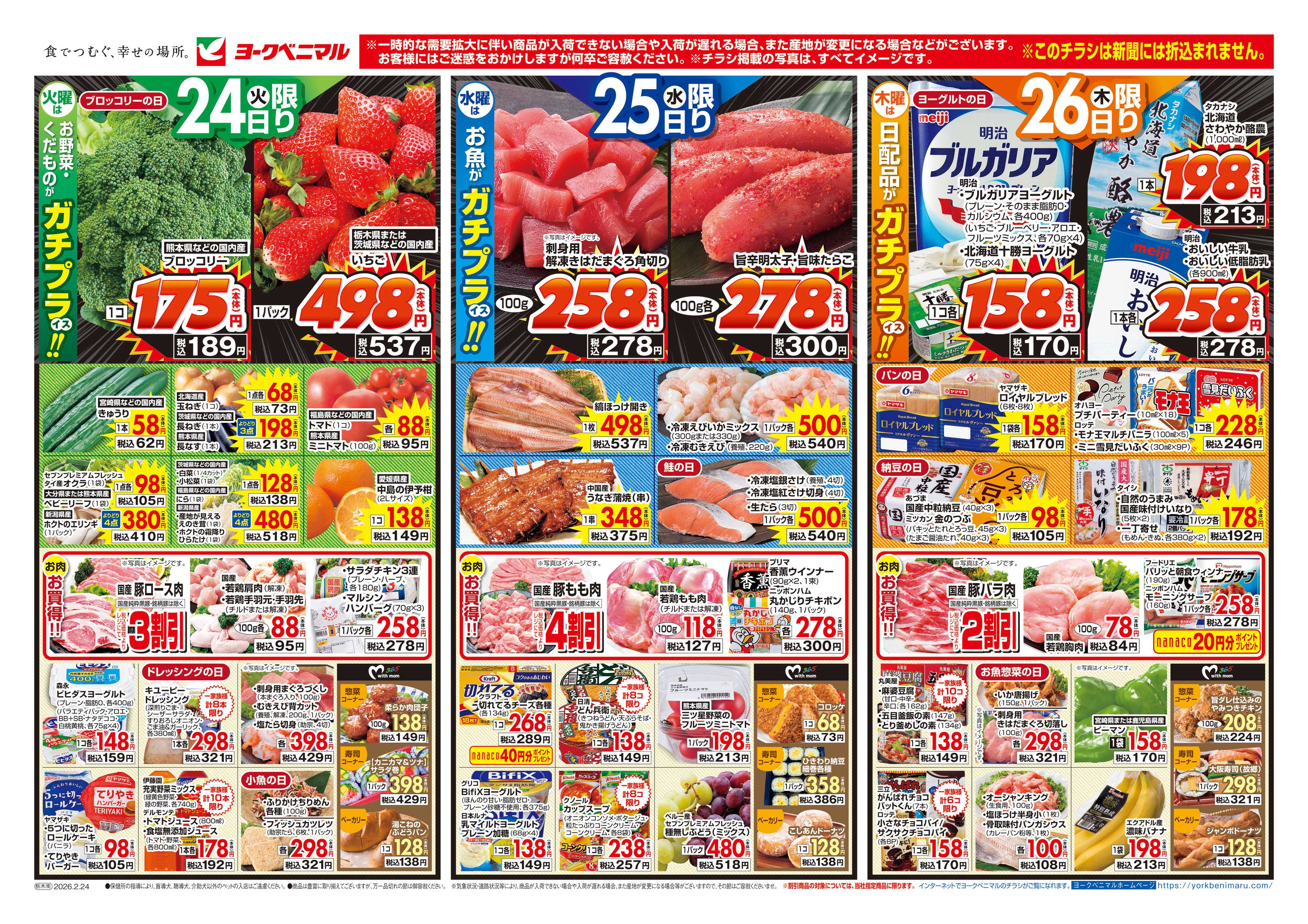 ヨークベニマル 2/24号チラシ