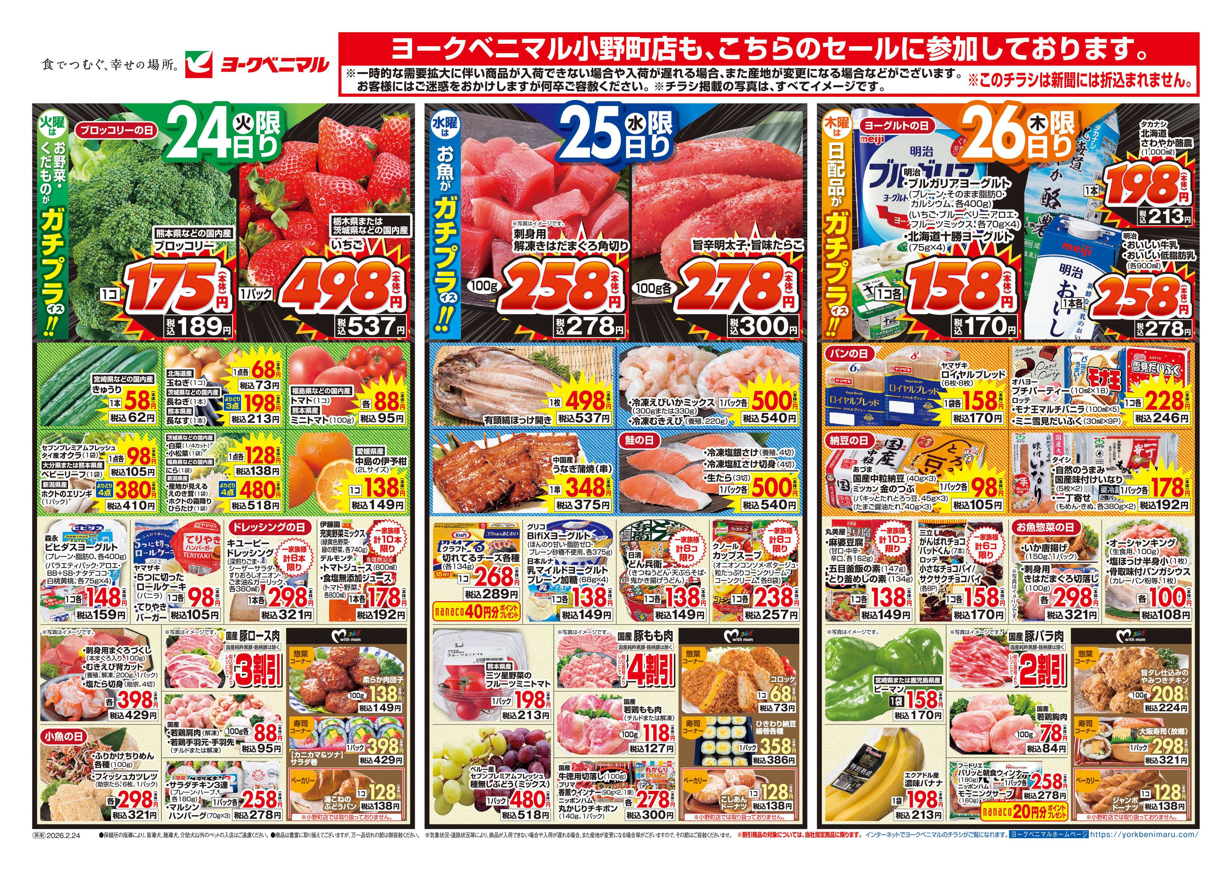 ヨークベニマル 2/24号チラシ