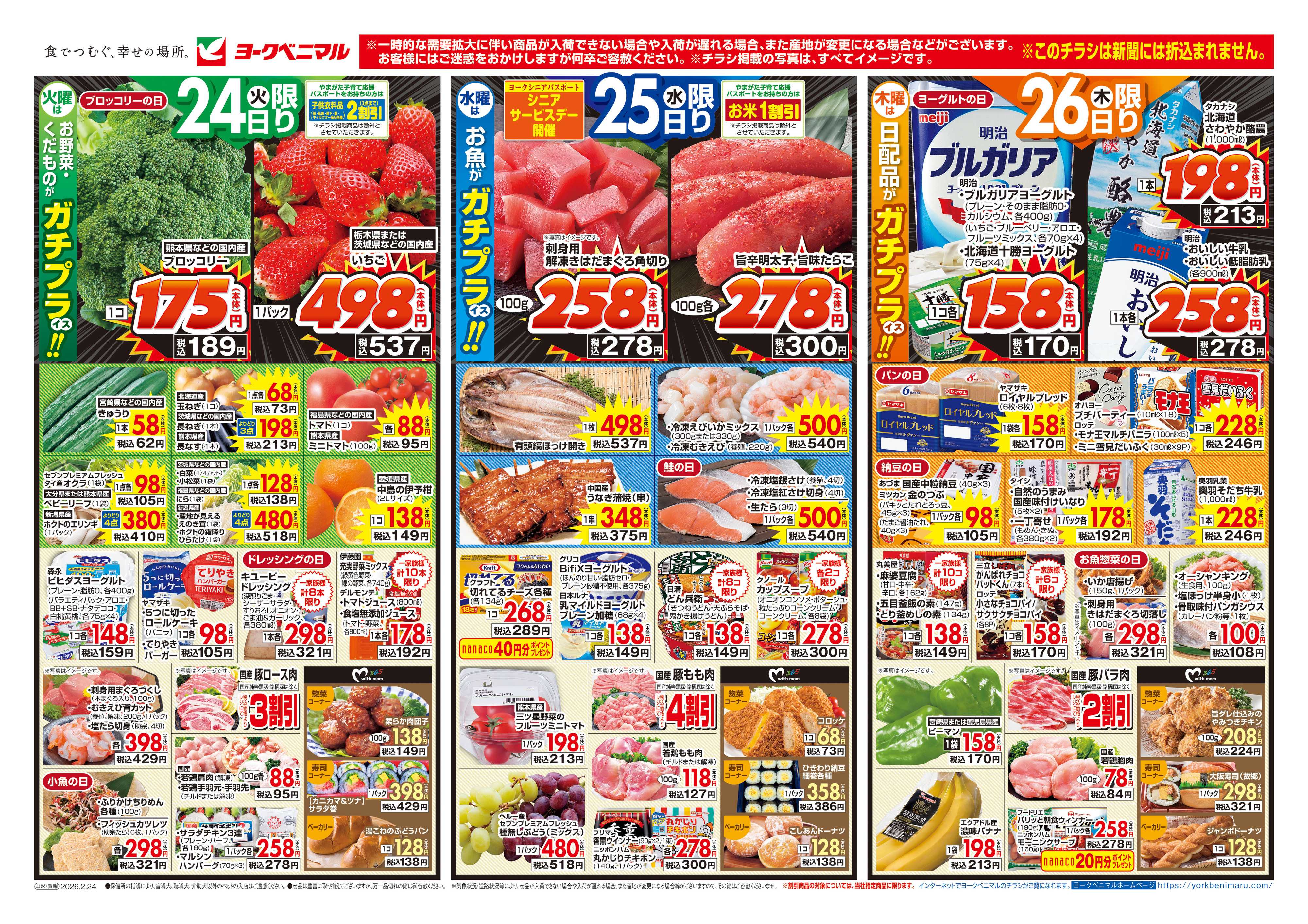 ヨークベニマル 2/24号チラシ
