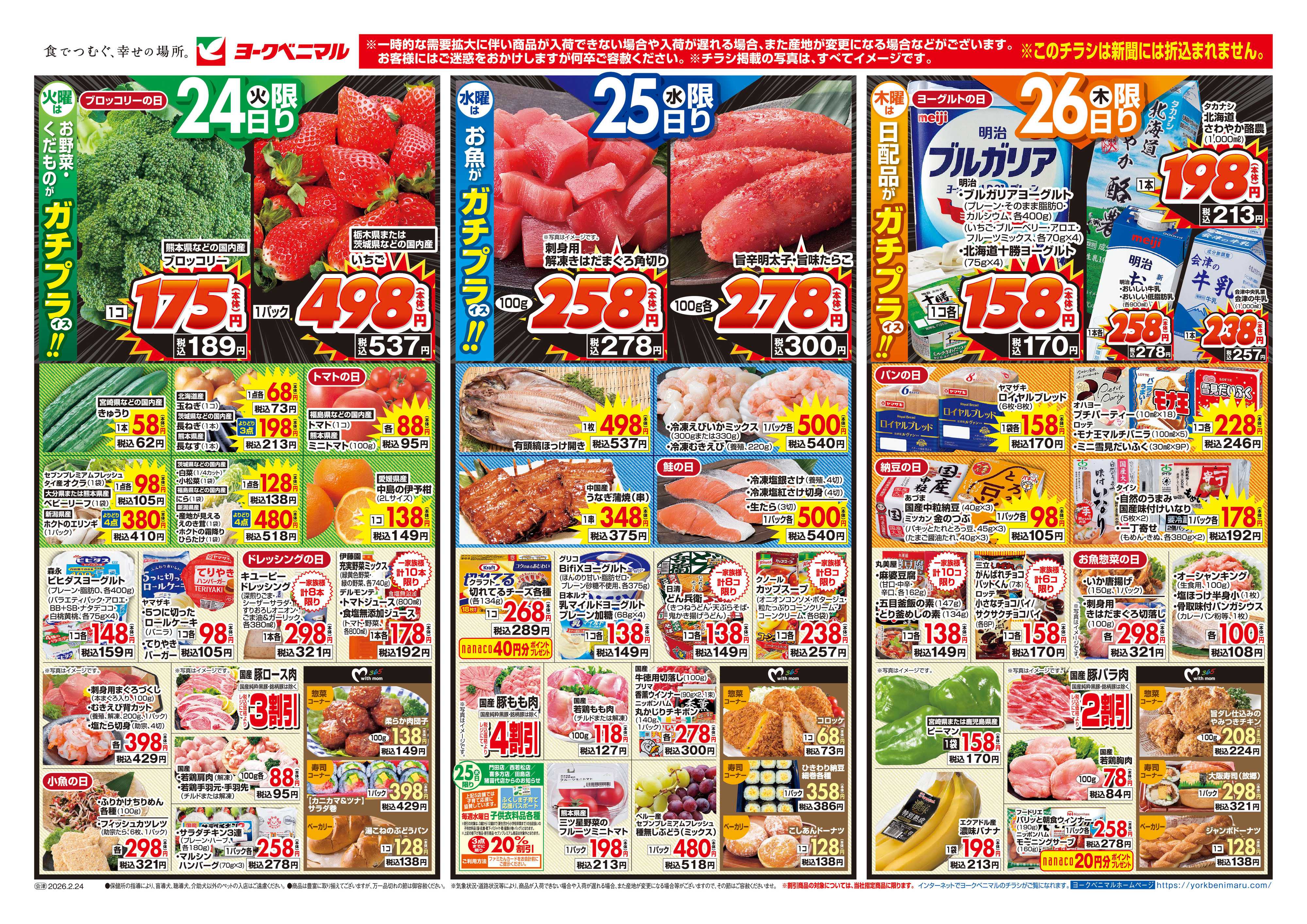 ヨークベニマル 2/24号チラシ