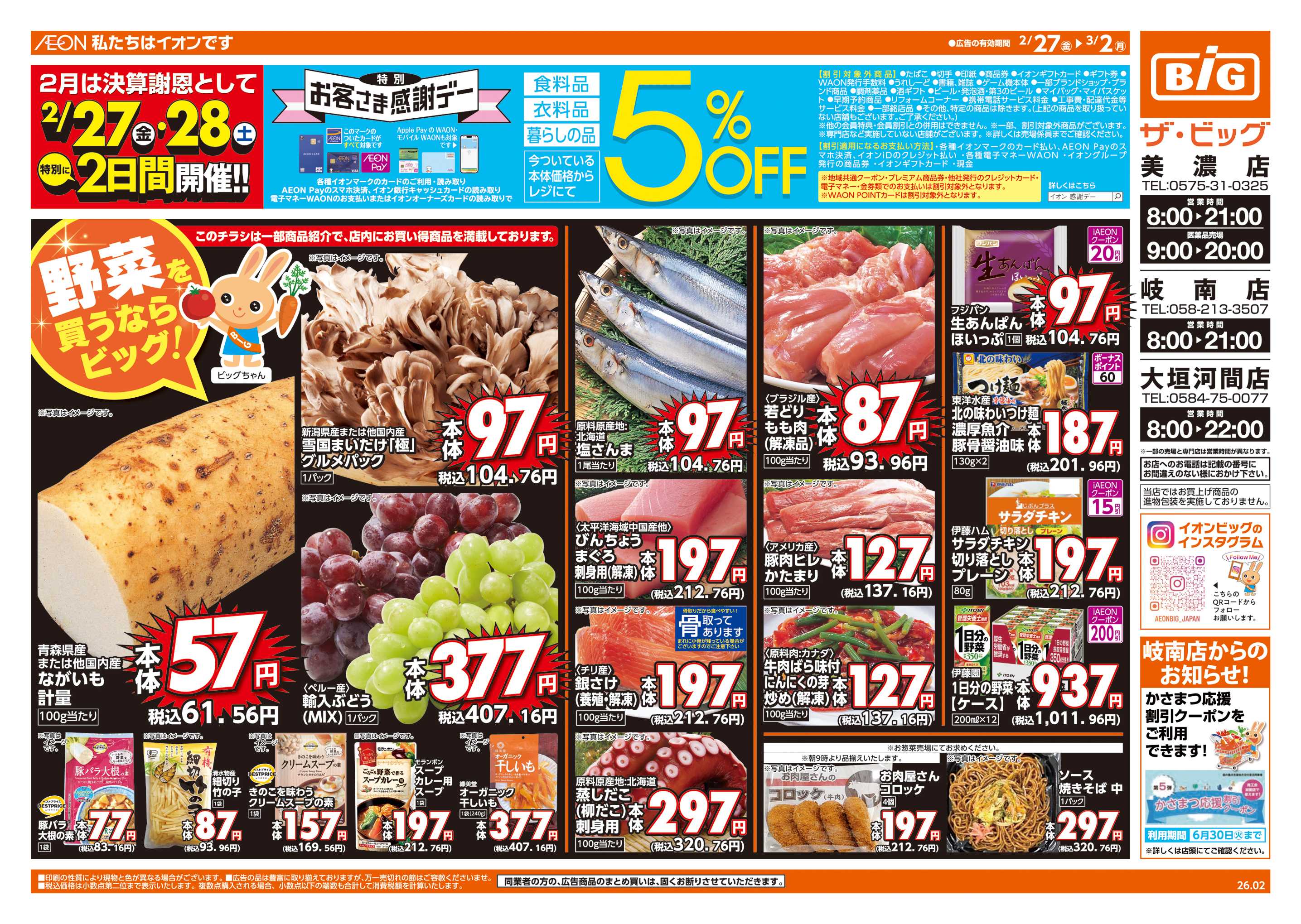 ザ・ビッグ 週末チラシ