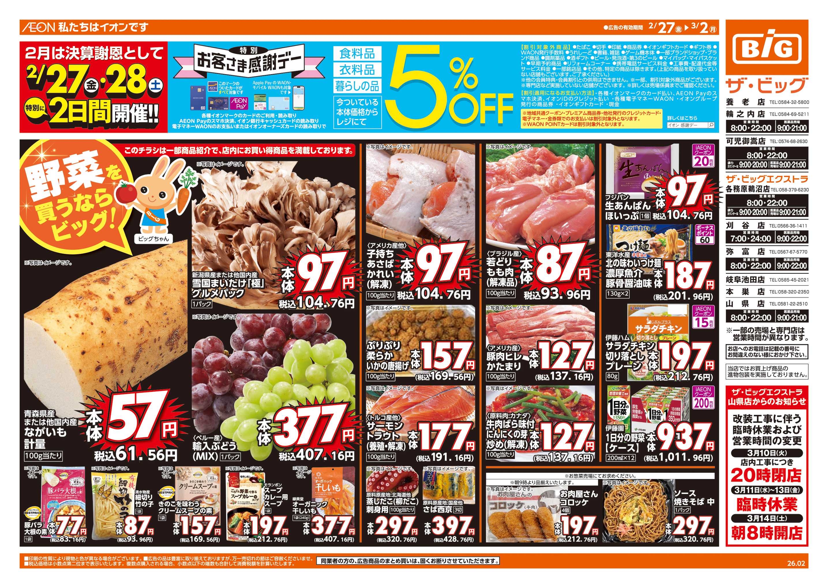 ザ・ビッグ 週末チラシ