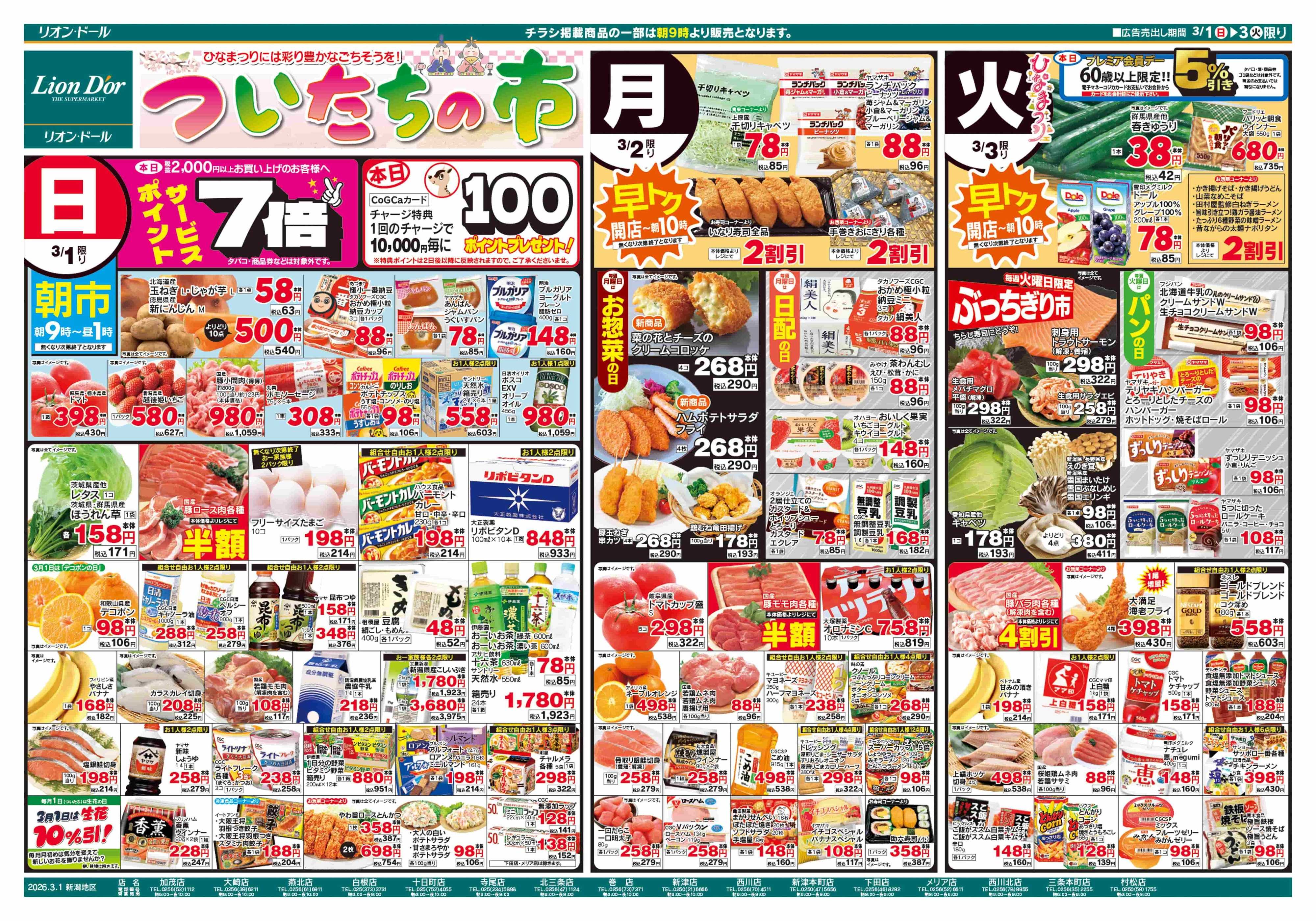 リオン・ドール 3/1号ついたちの市