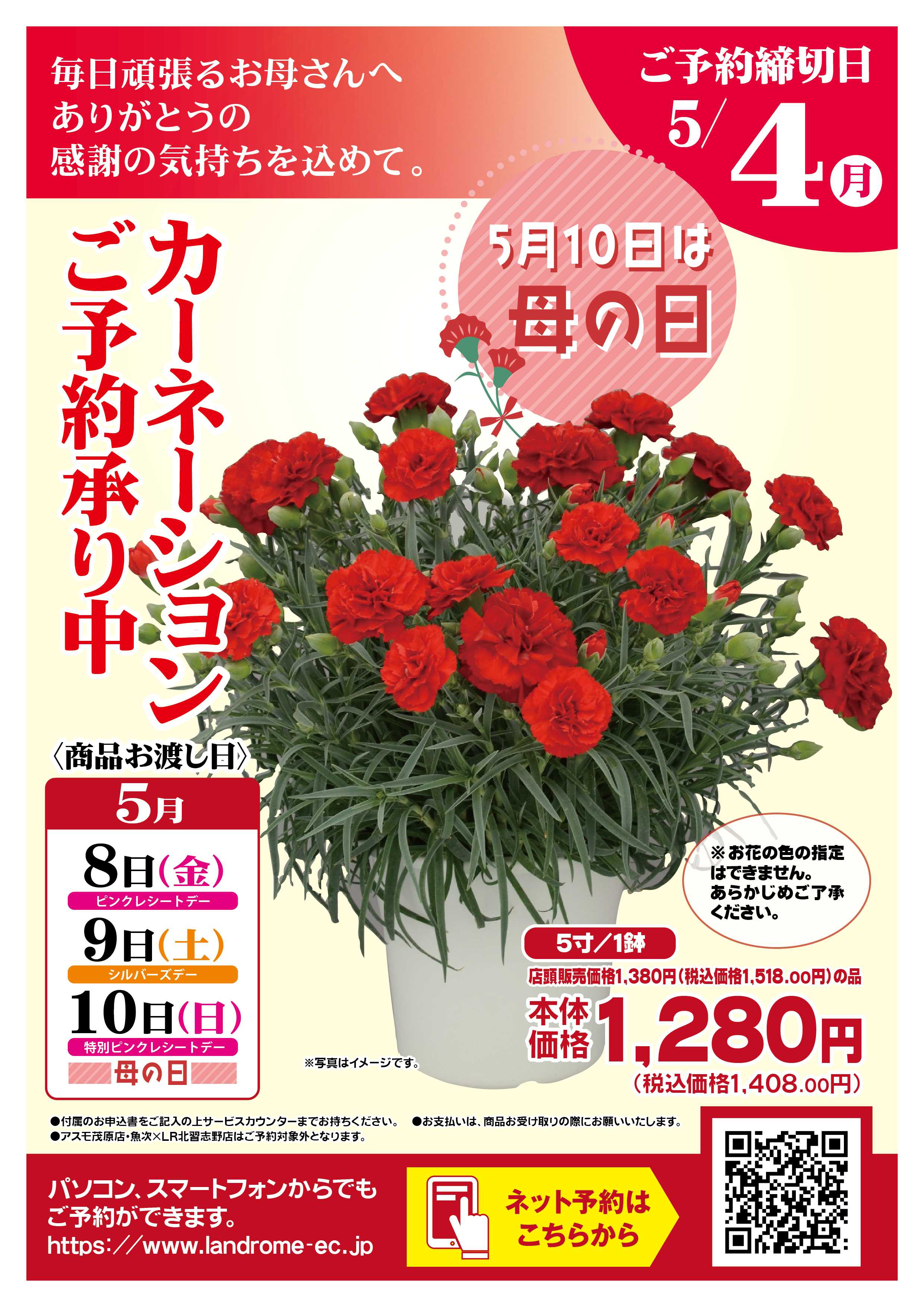 ランドローム 2026年カーネーションご予約