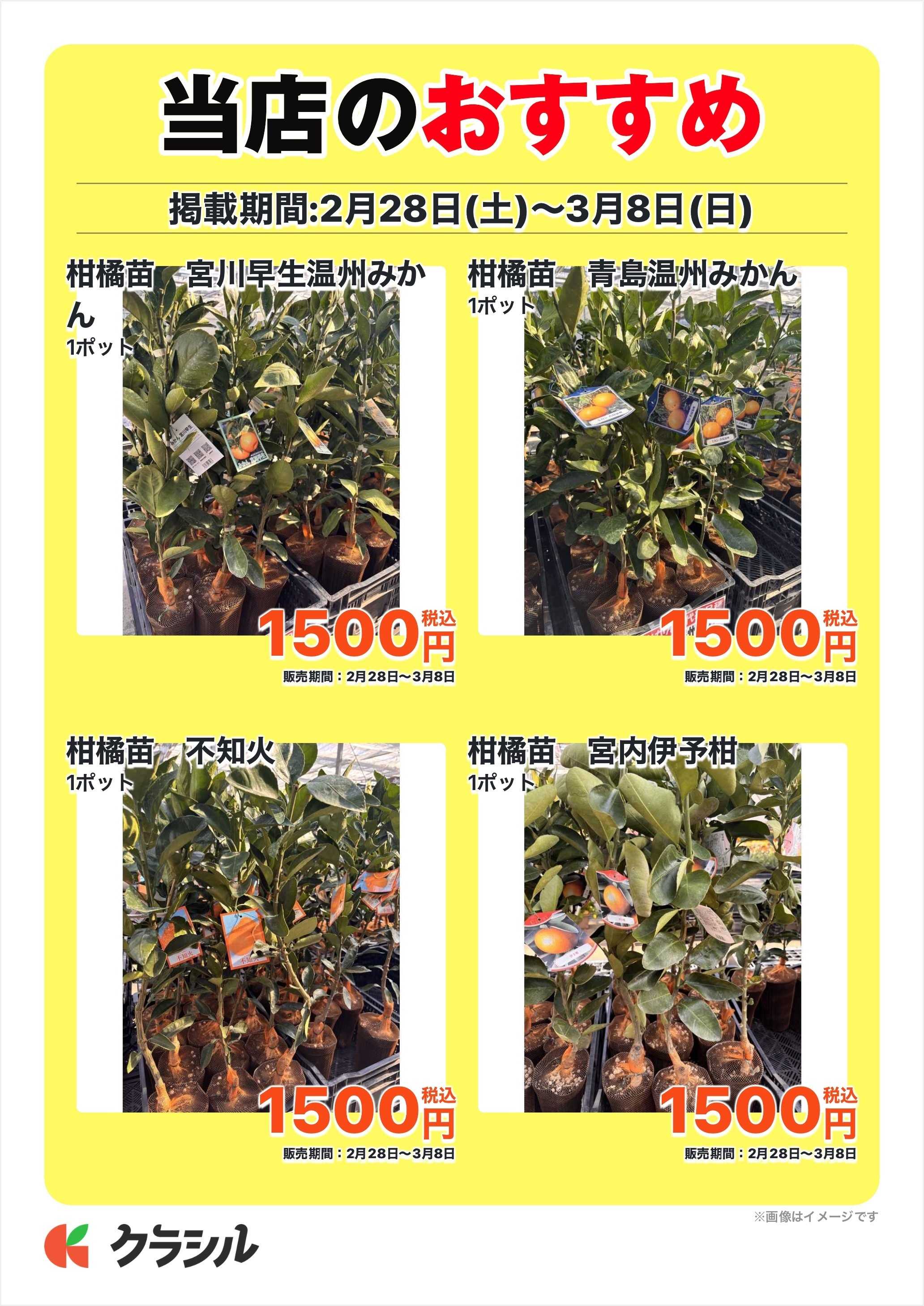 JAあいち三河 当店のおすすめ