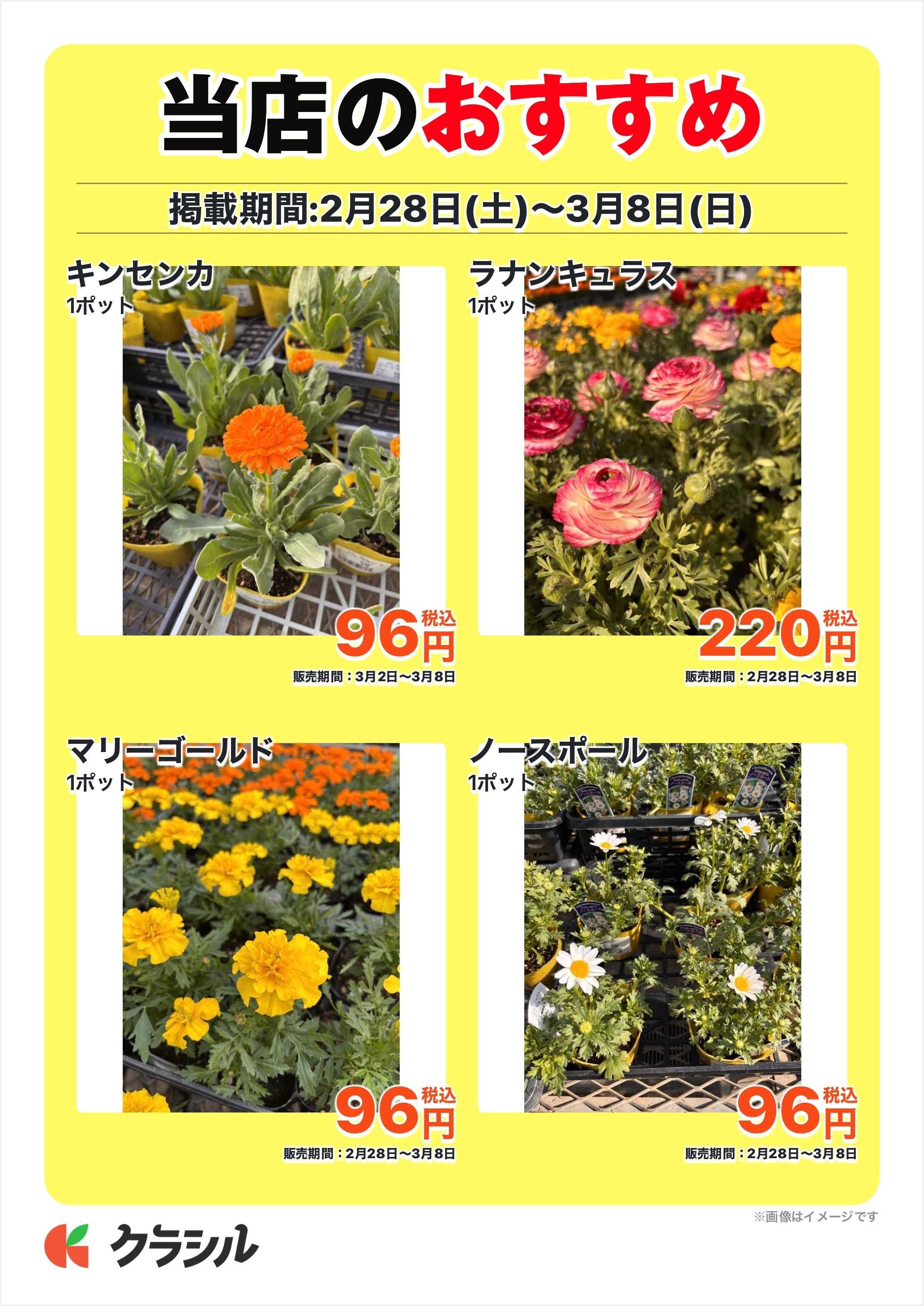 JAあいち三河 当店のおすすめ