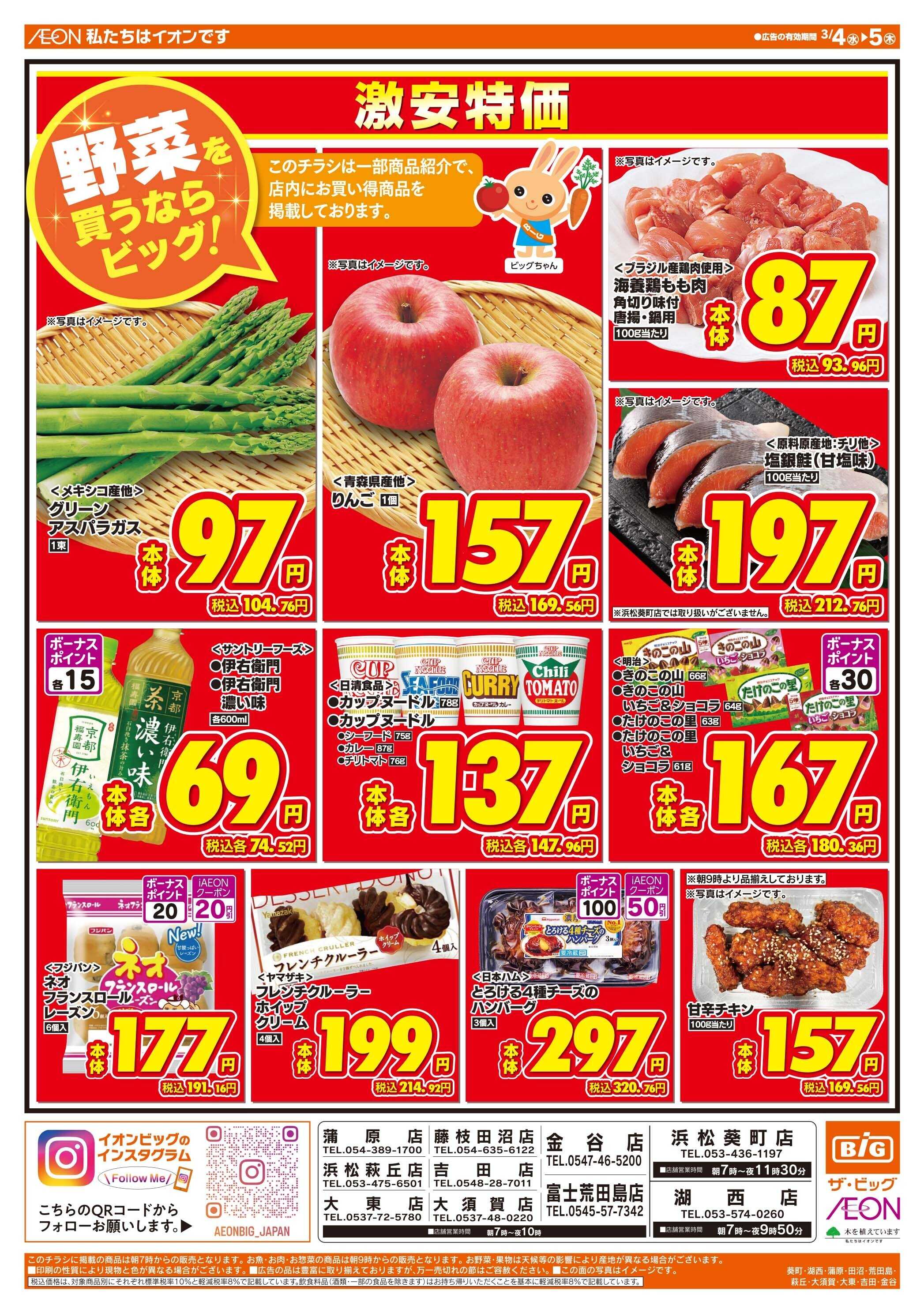 ザ・ビッグ 週中チラシ