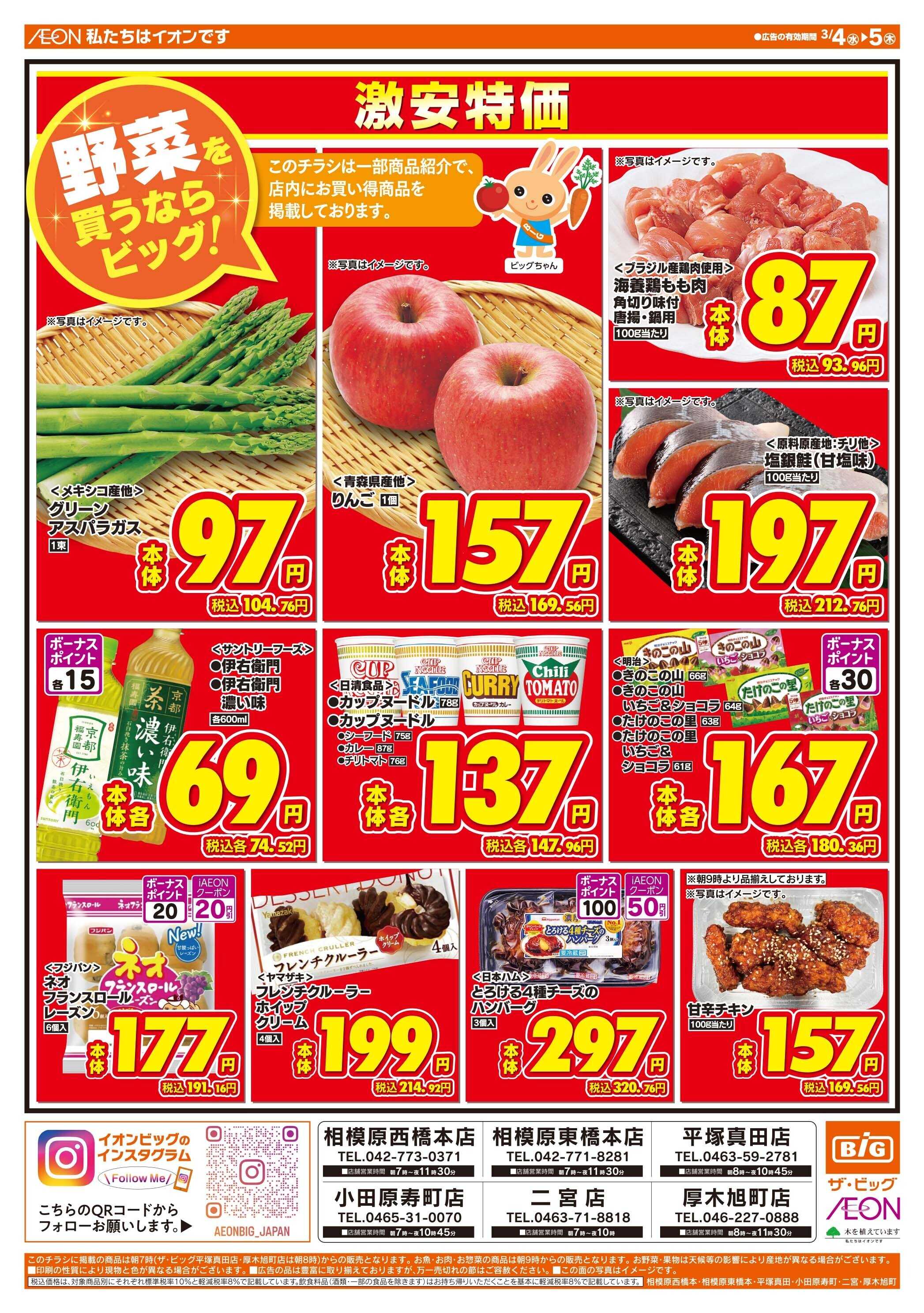 ザ・ビッグ 週中チラシ