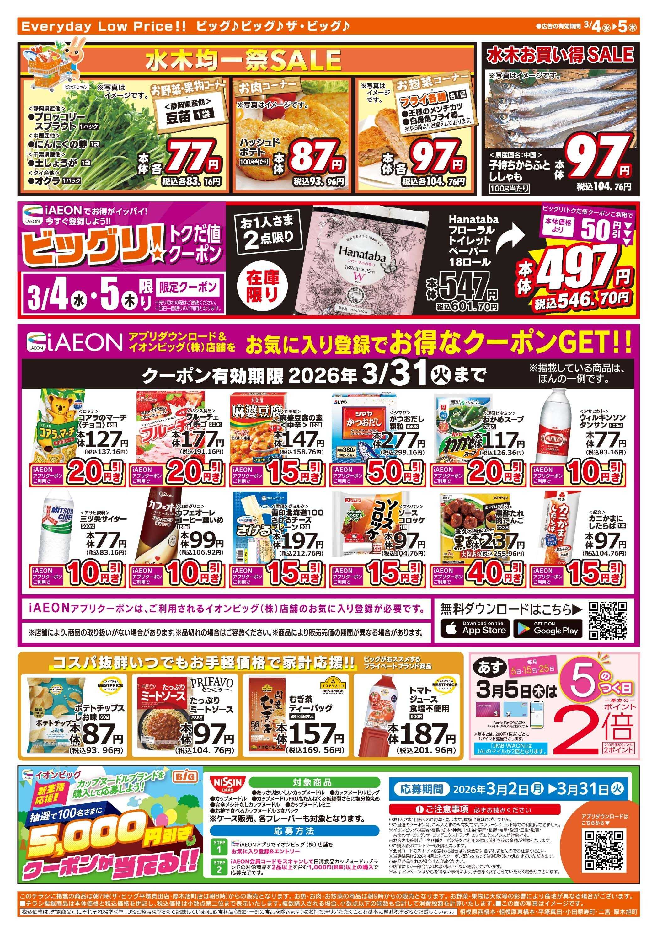 ザ・ビッグ 週中チラシ