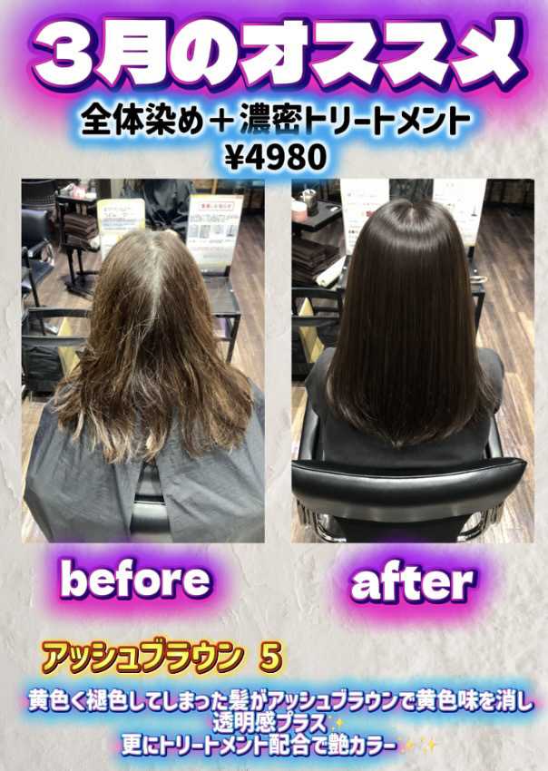 ビューティーカラープラス 