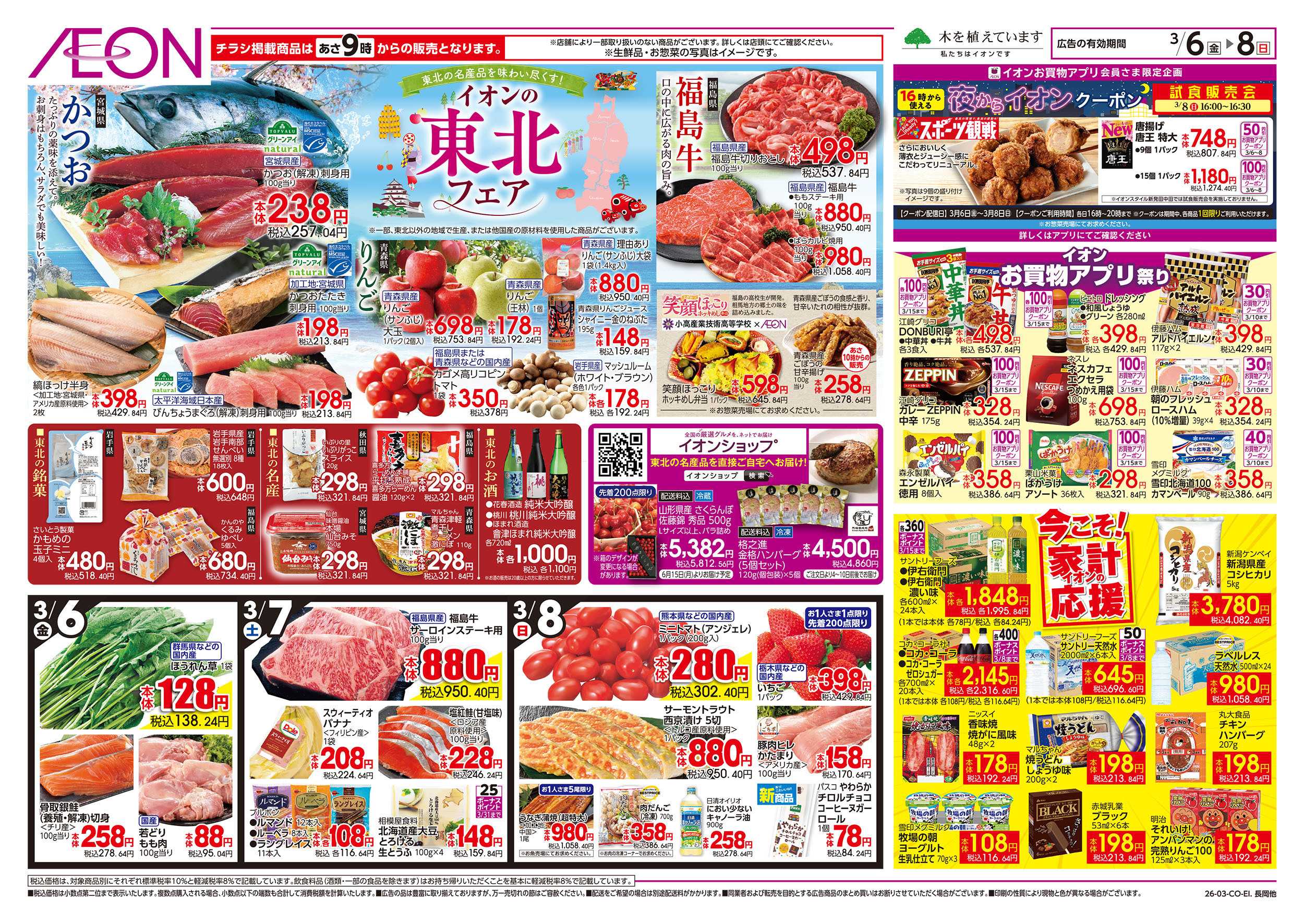 イオン 3/6号　東北フェア：表面
