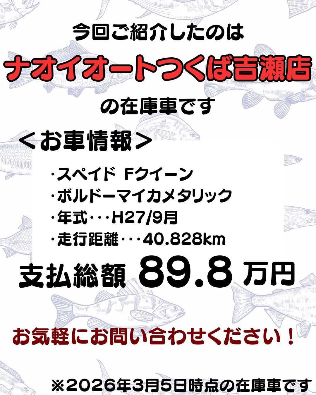 ナオイオート 【予算100万円で選ぶコンパクトカー】スペイドをご紹介！