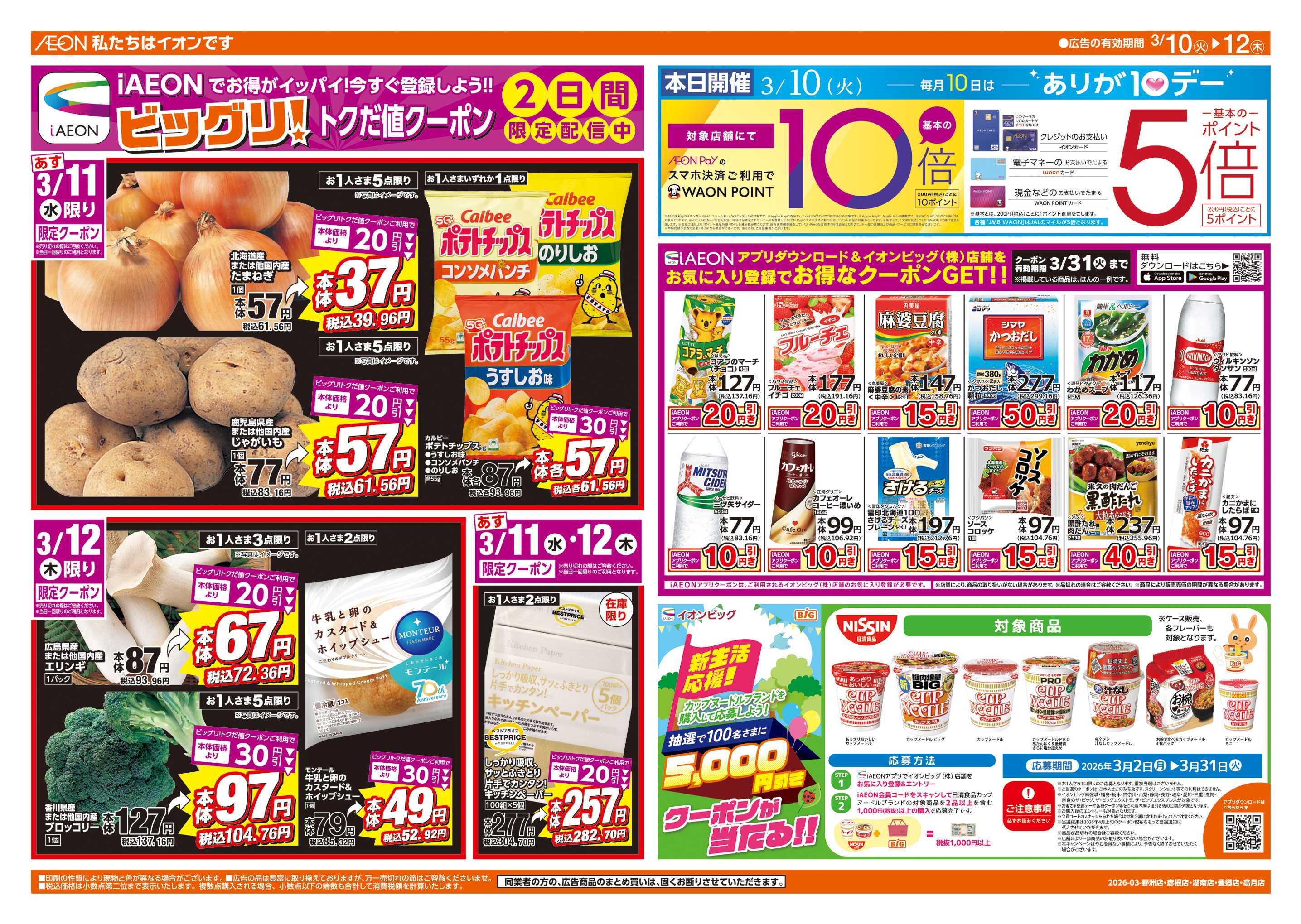 ザ・ビッグエクストラ 週中チラシ