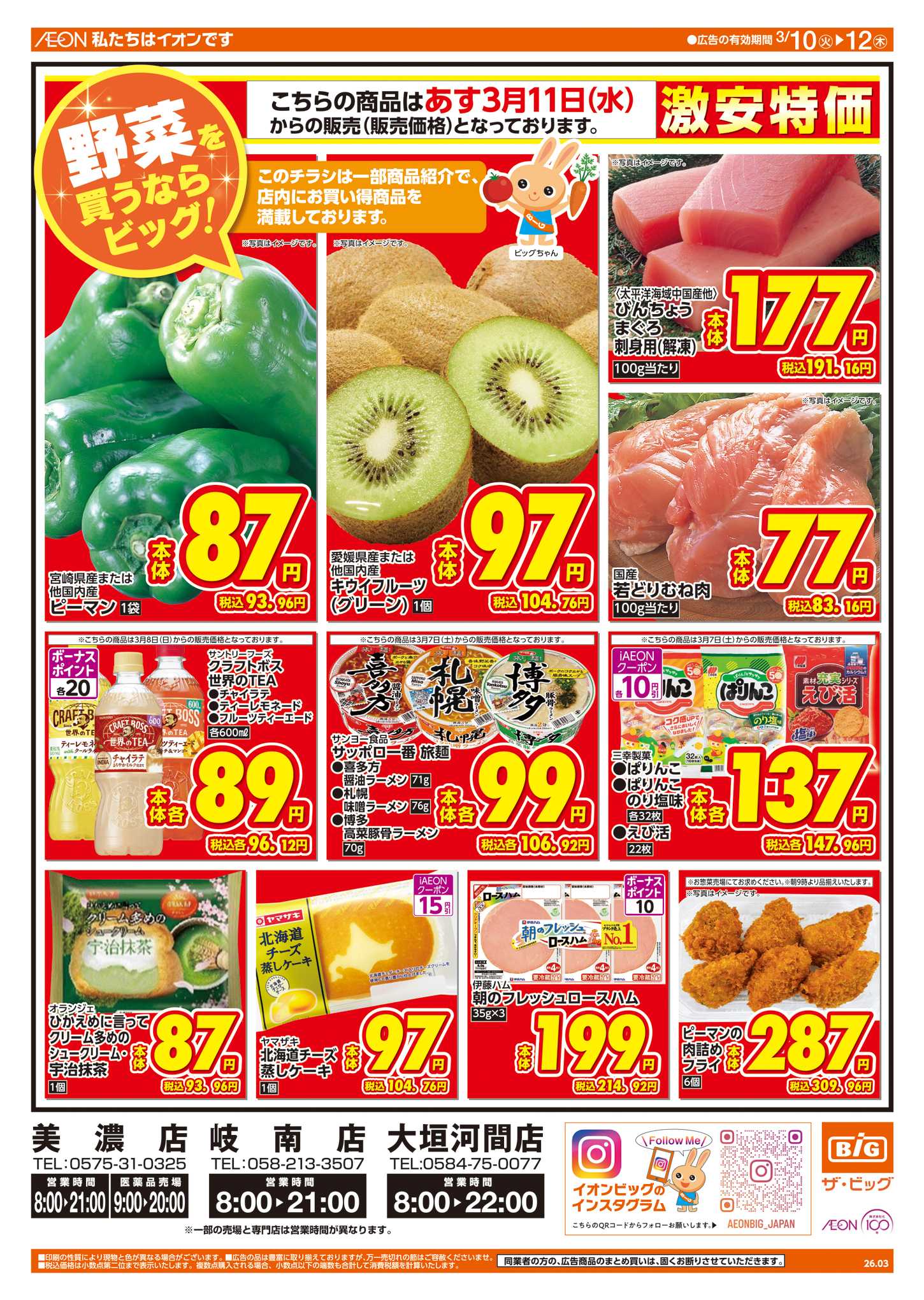 ザ・ビッグ 週中チラシ