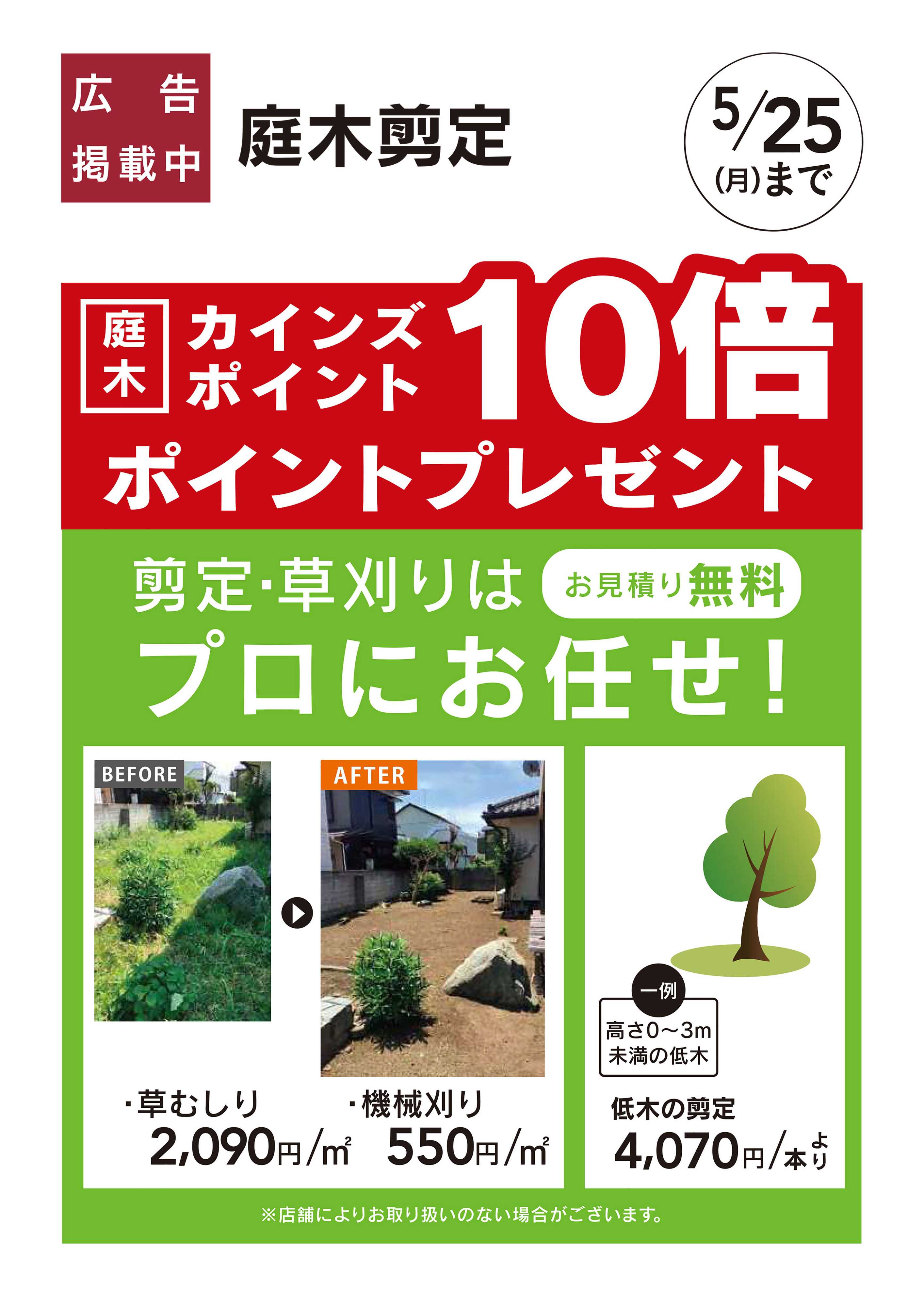 カインズ 庭木剪定