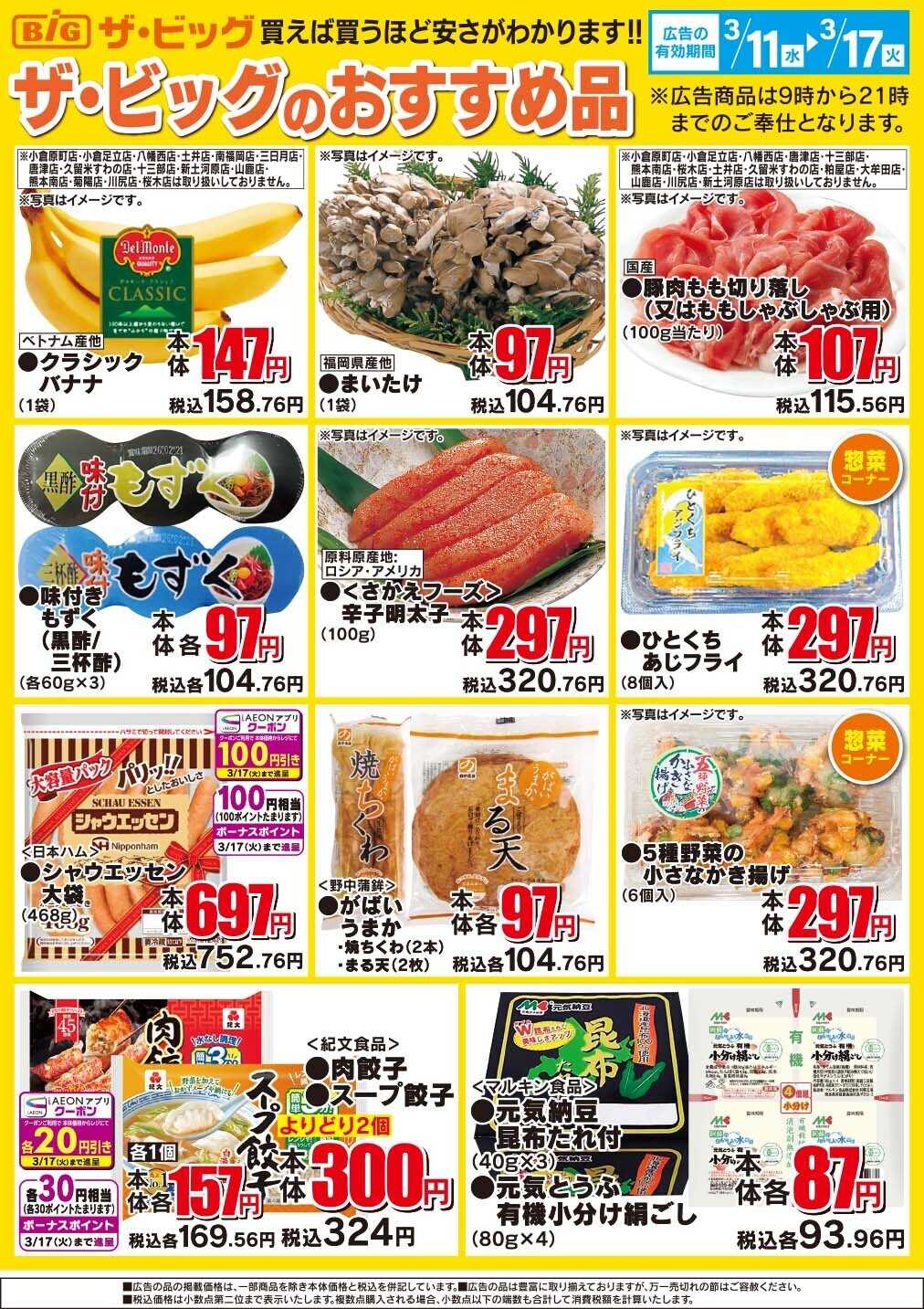 イオン ザ・ビッグのおすすめ品