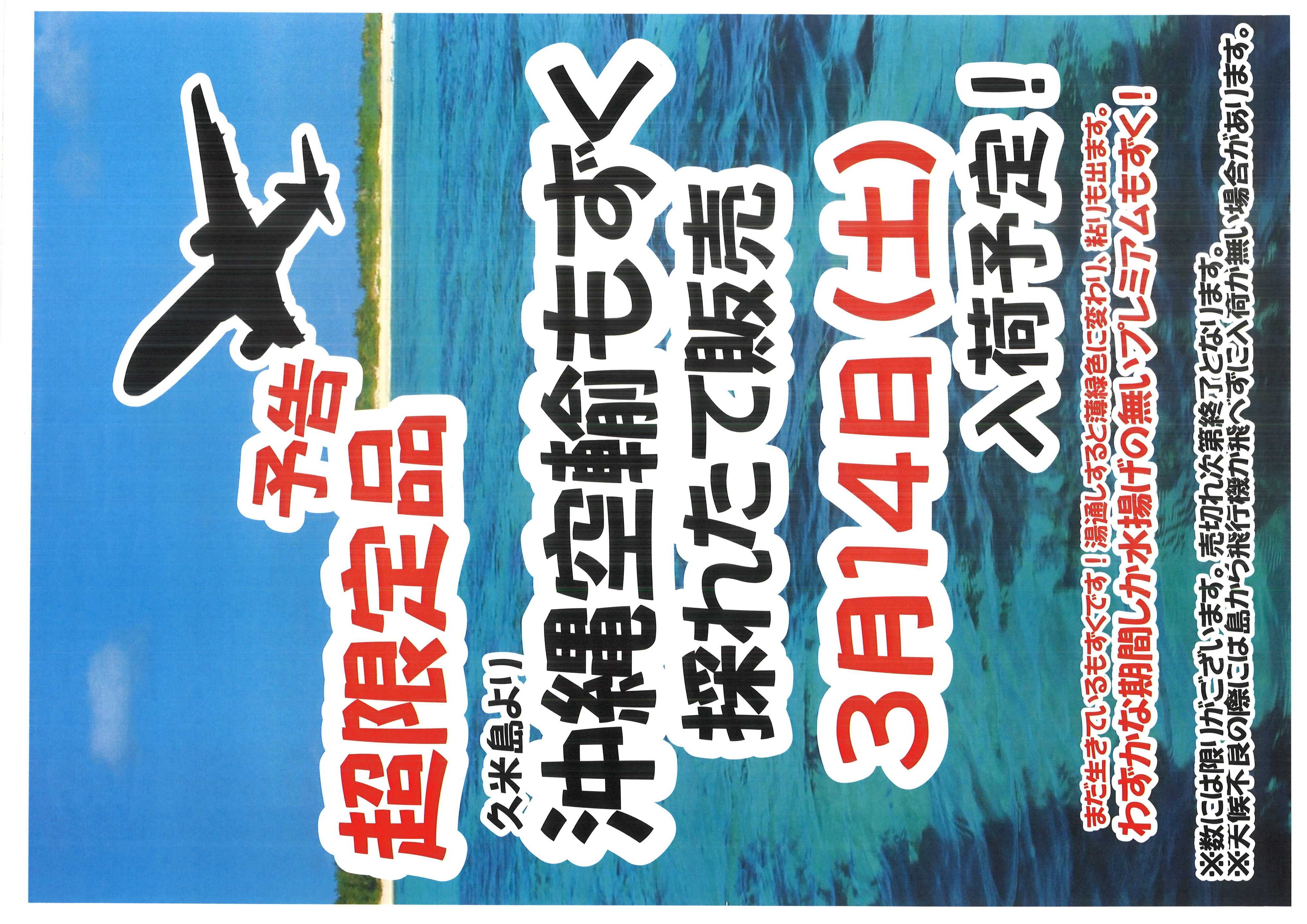オオゼキ 数量限定で販売！！
