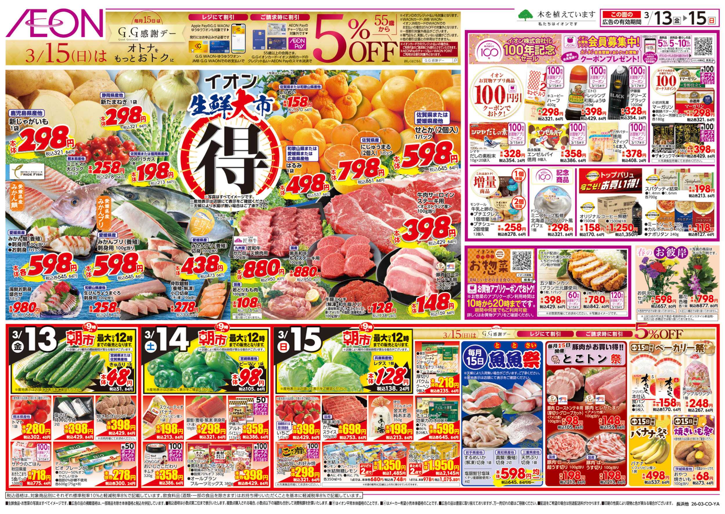 イオン 第3週　3/13号　生鮮大市　BIZフェス