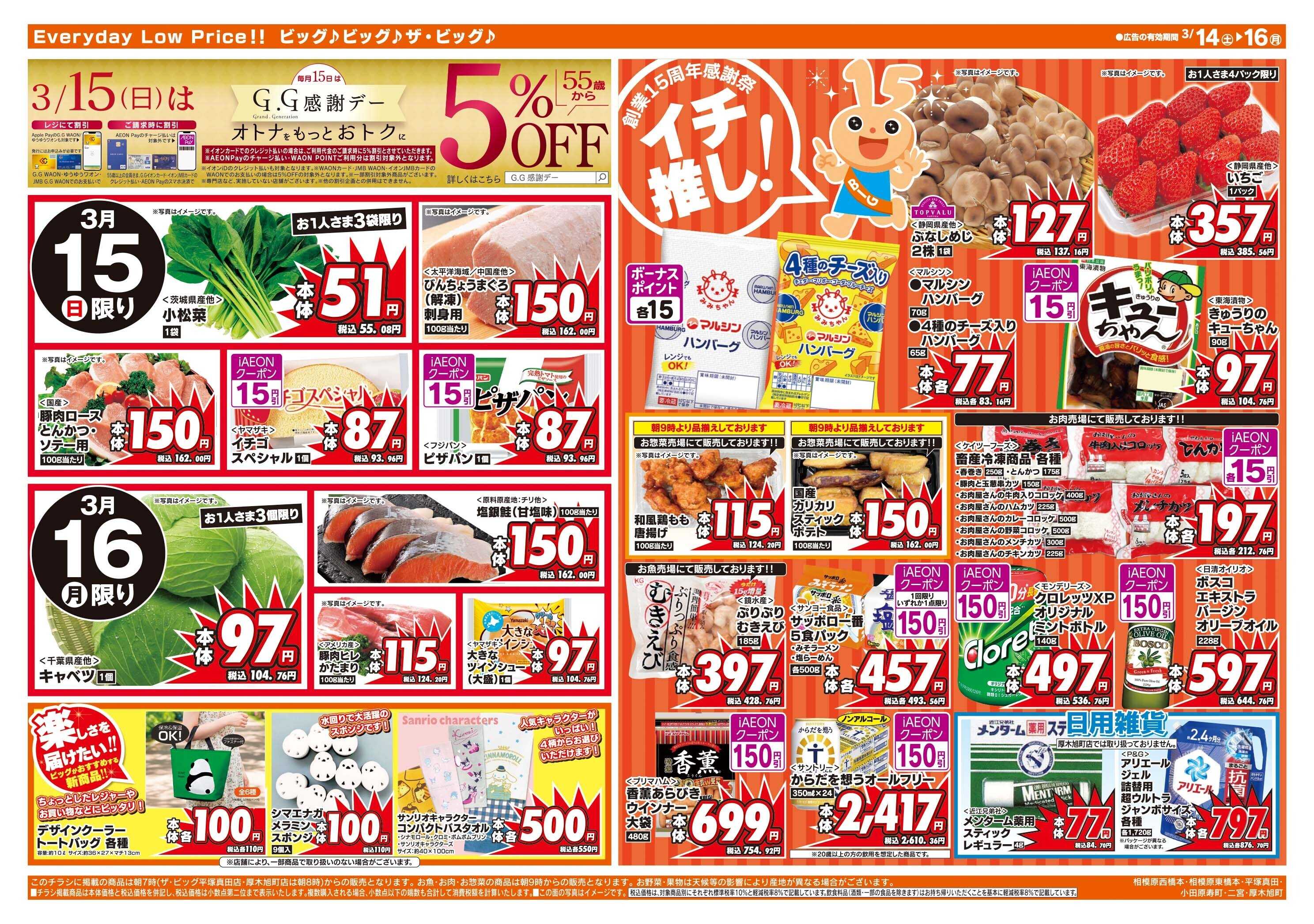 ザ・ビッグ イオンビッグ創業15周年感謝祭