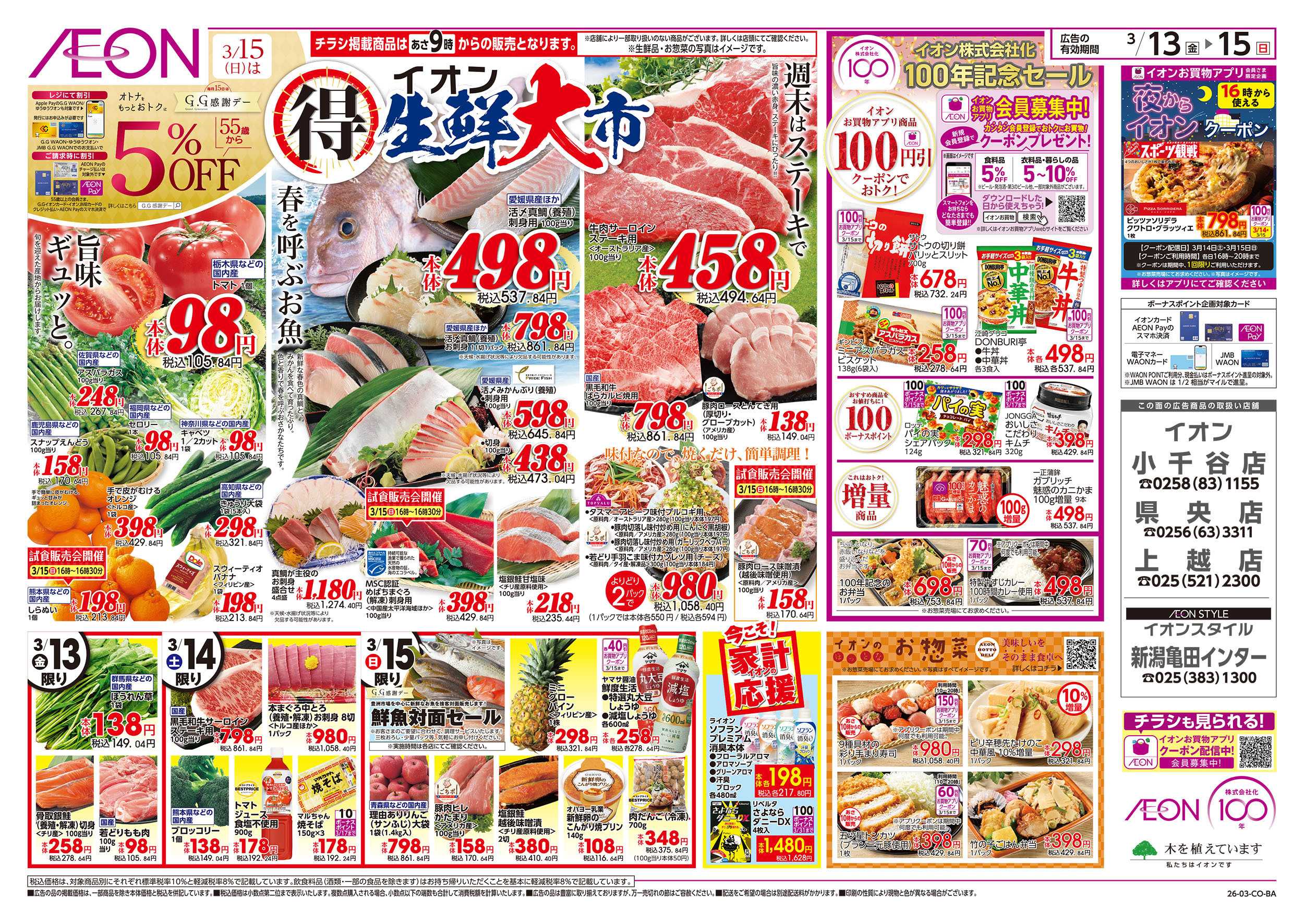 イオン 3/13号　生鮮大市：表面