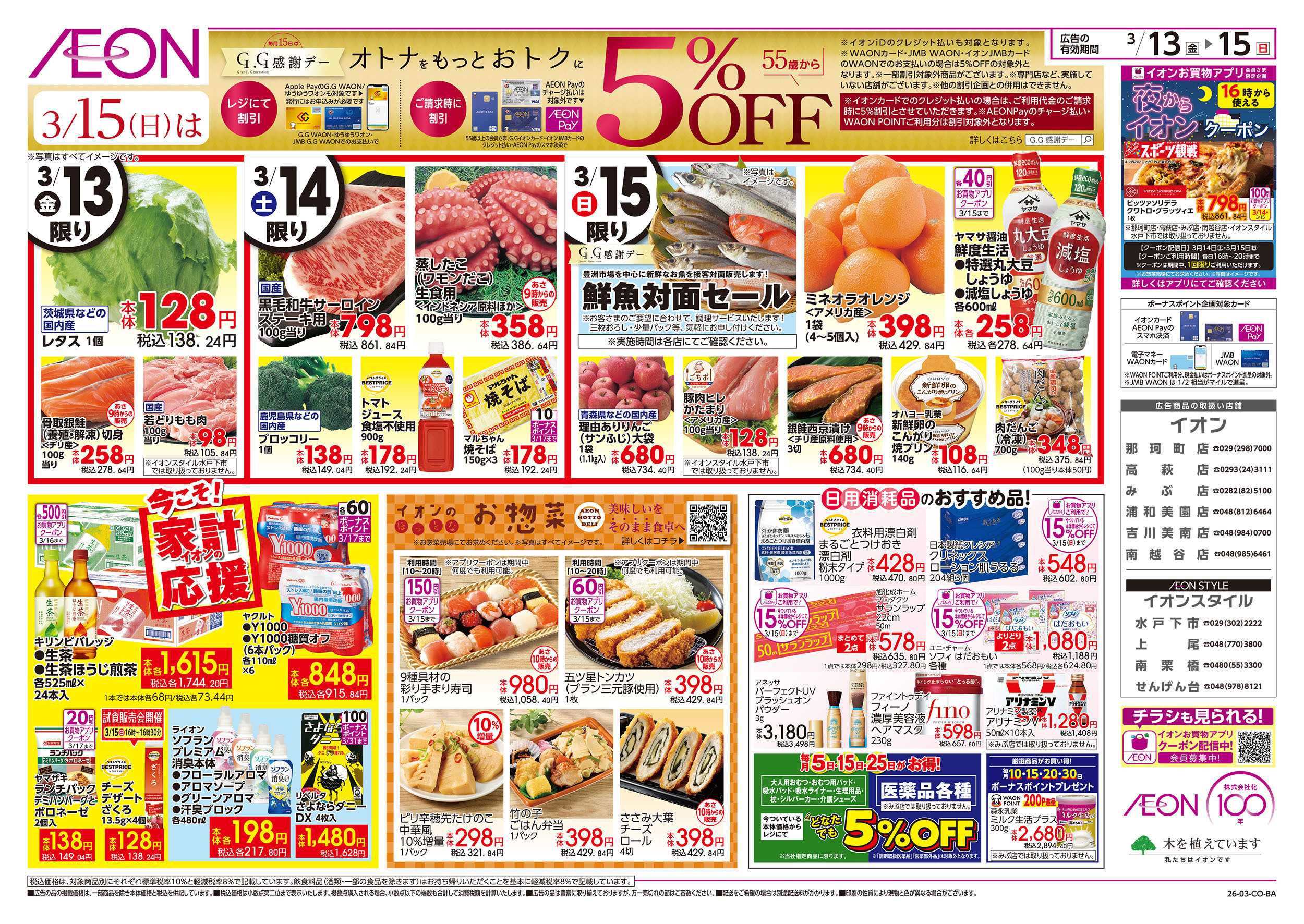 イオンスタイル 3/13号　生鮮大市：裏面