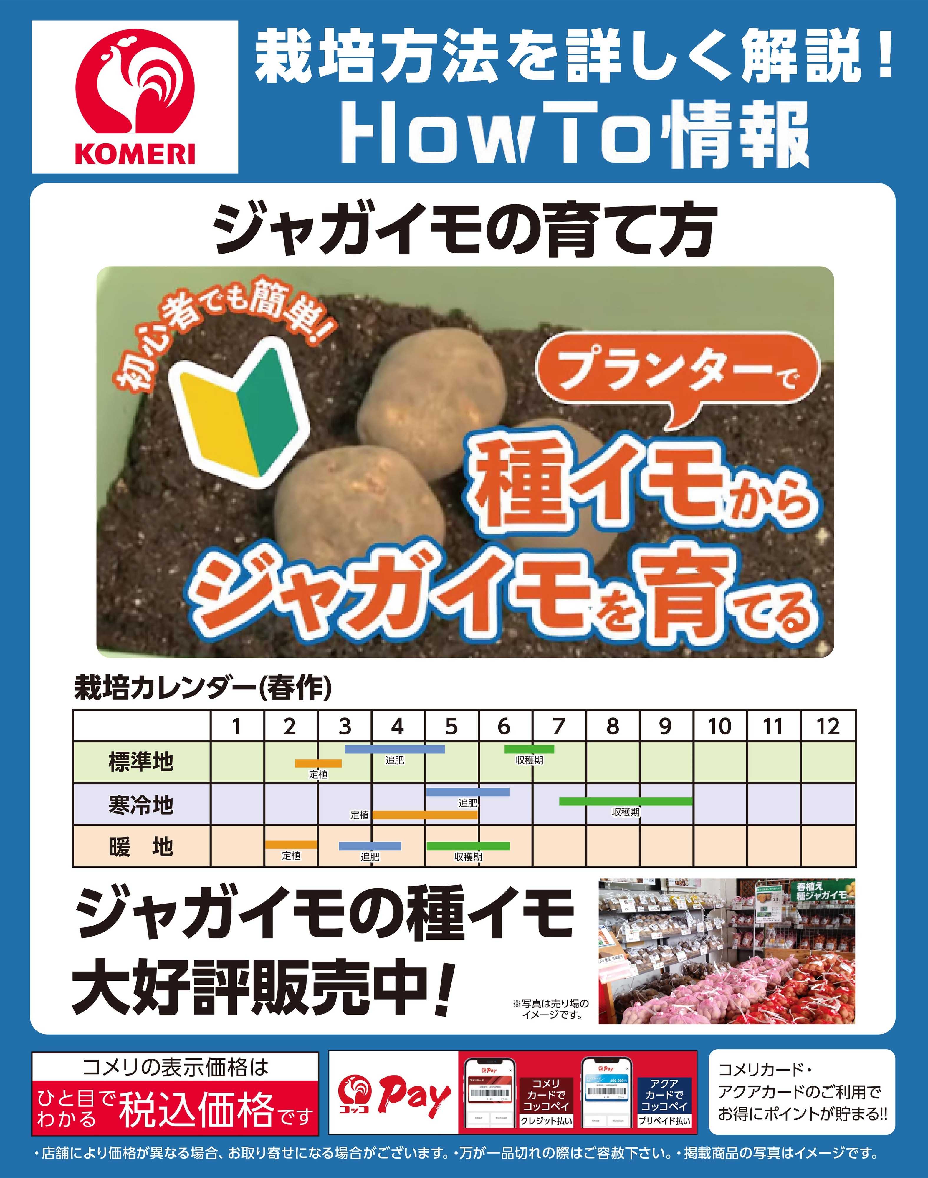 コメリパワー コメリ ジャガイモの育て方
